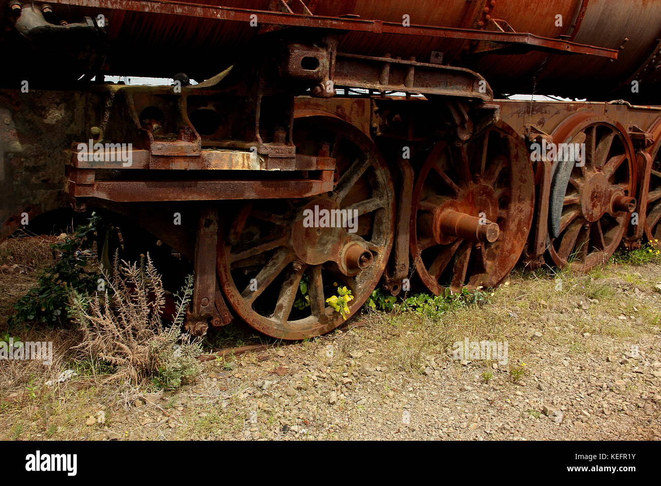 Verfallenes Lokomotiven und Waggons Stockfoto