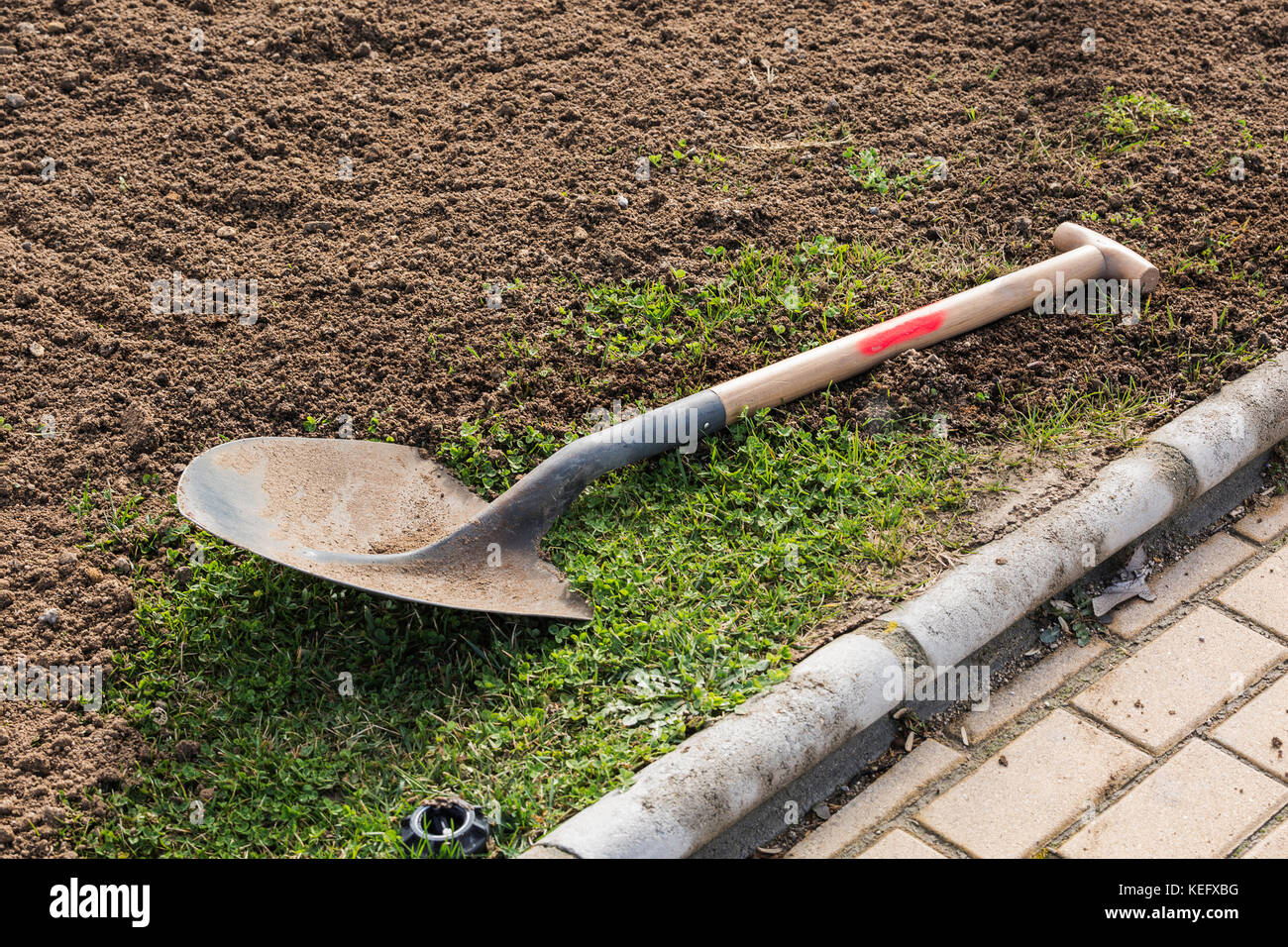 Gartengeräte. Gartenarbeit Spaten auf Gras bereit für die Saison Frühjahr Stockfoto