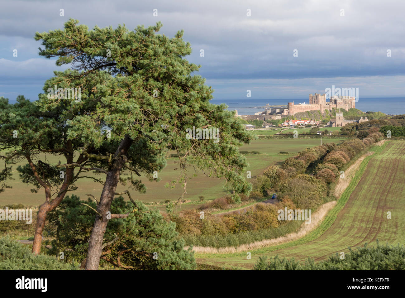Bamburgh Castle, Bamburgh, Northumberland, England, Vereinigtes Königreich Stockfoto