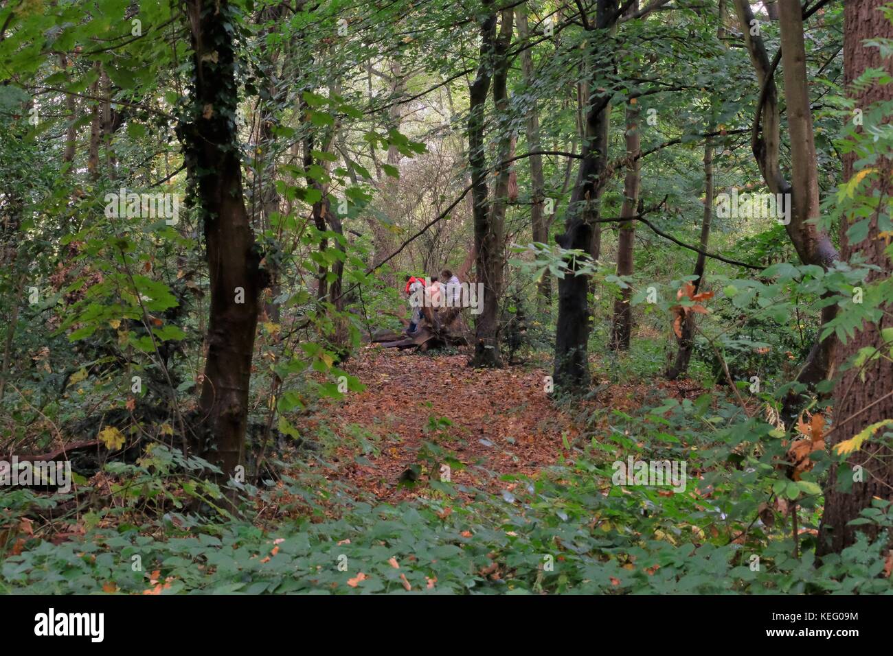 Mann, Haare schneiden in Wäldern Stockfoto