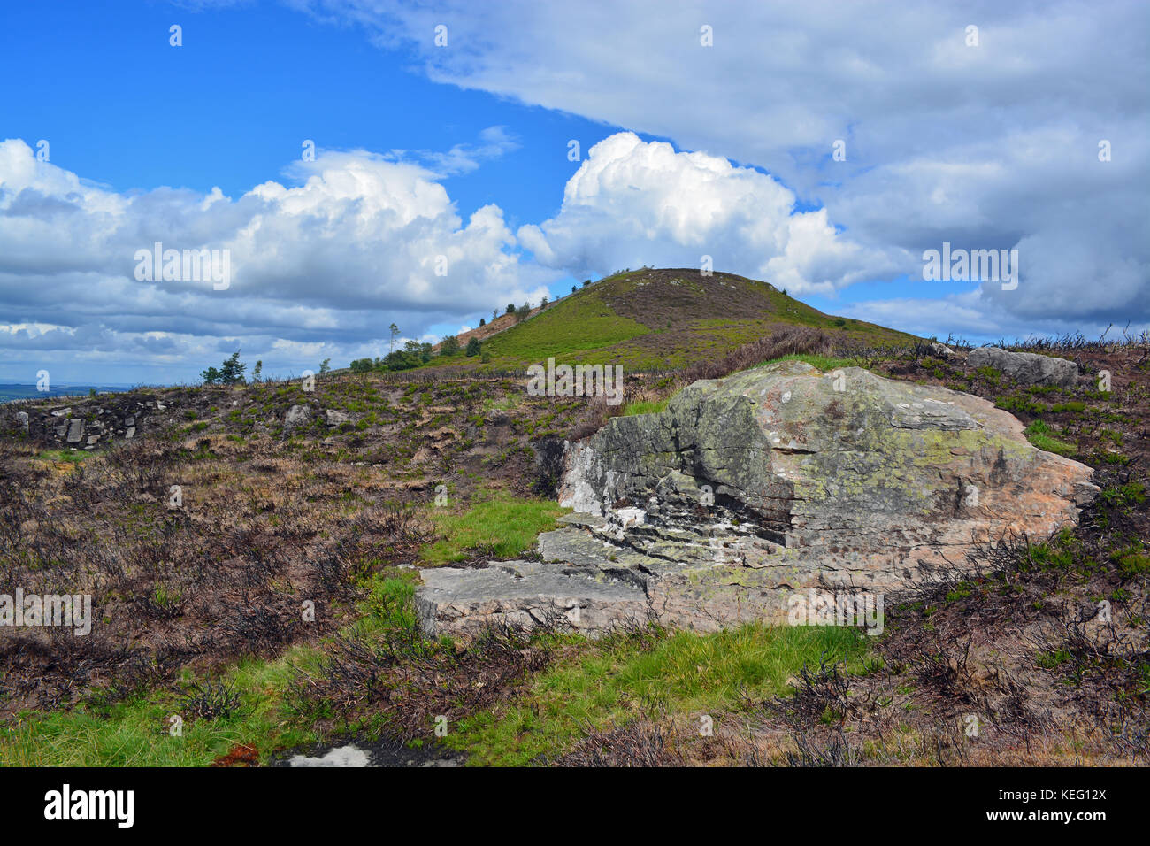Ros schloss, northumberland Stockfoto