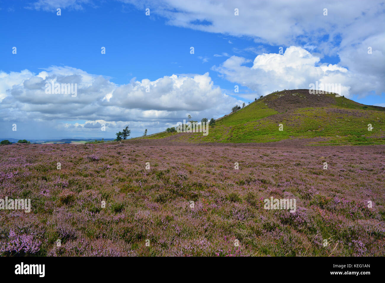 Ros schloss, northumberland Stockfoto