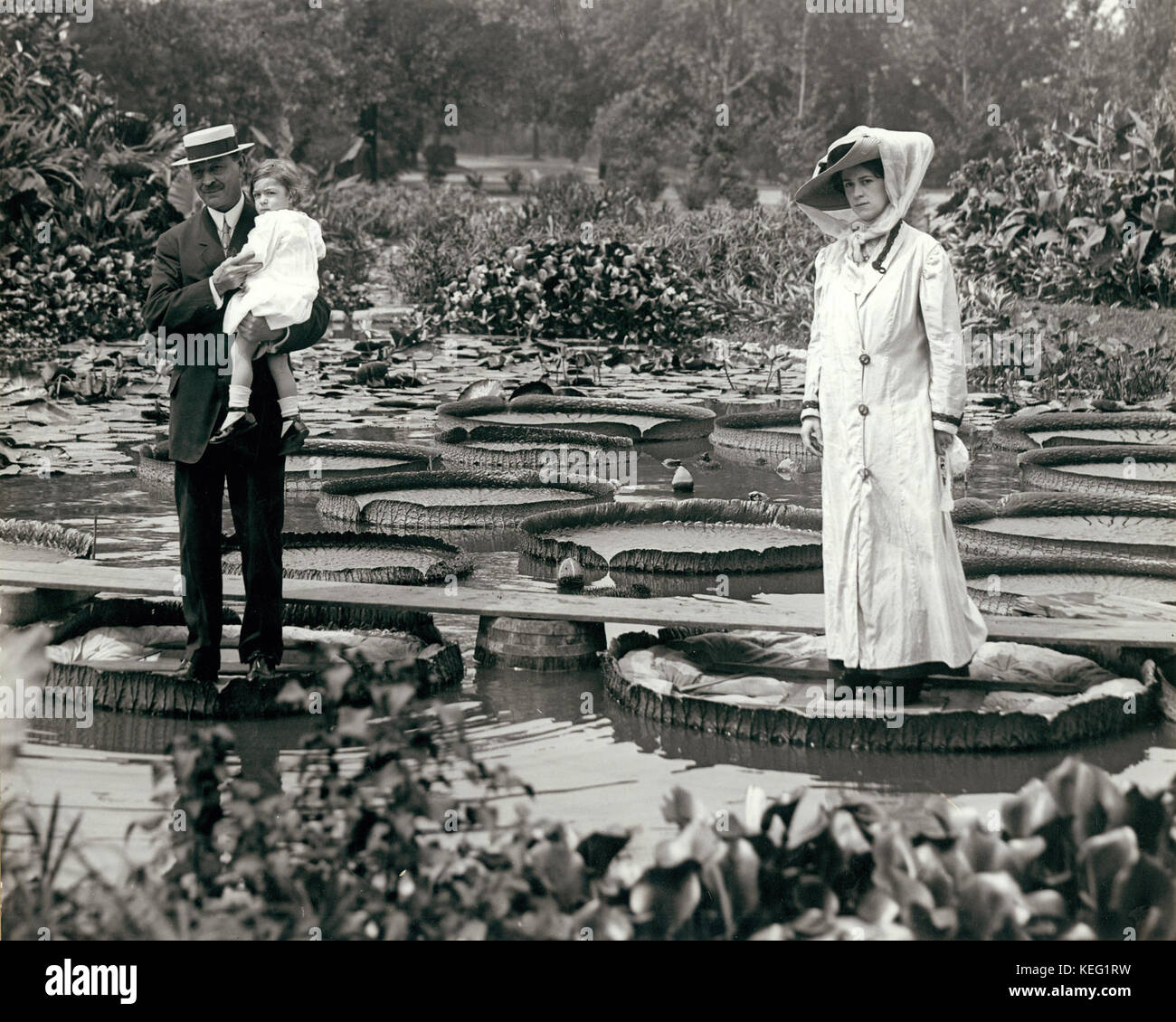 Frau und Mann mit Kind auf Victoria Regina Seerosen in Tower Grove Park Stockfoto