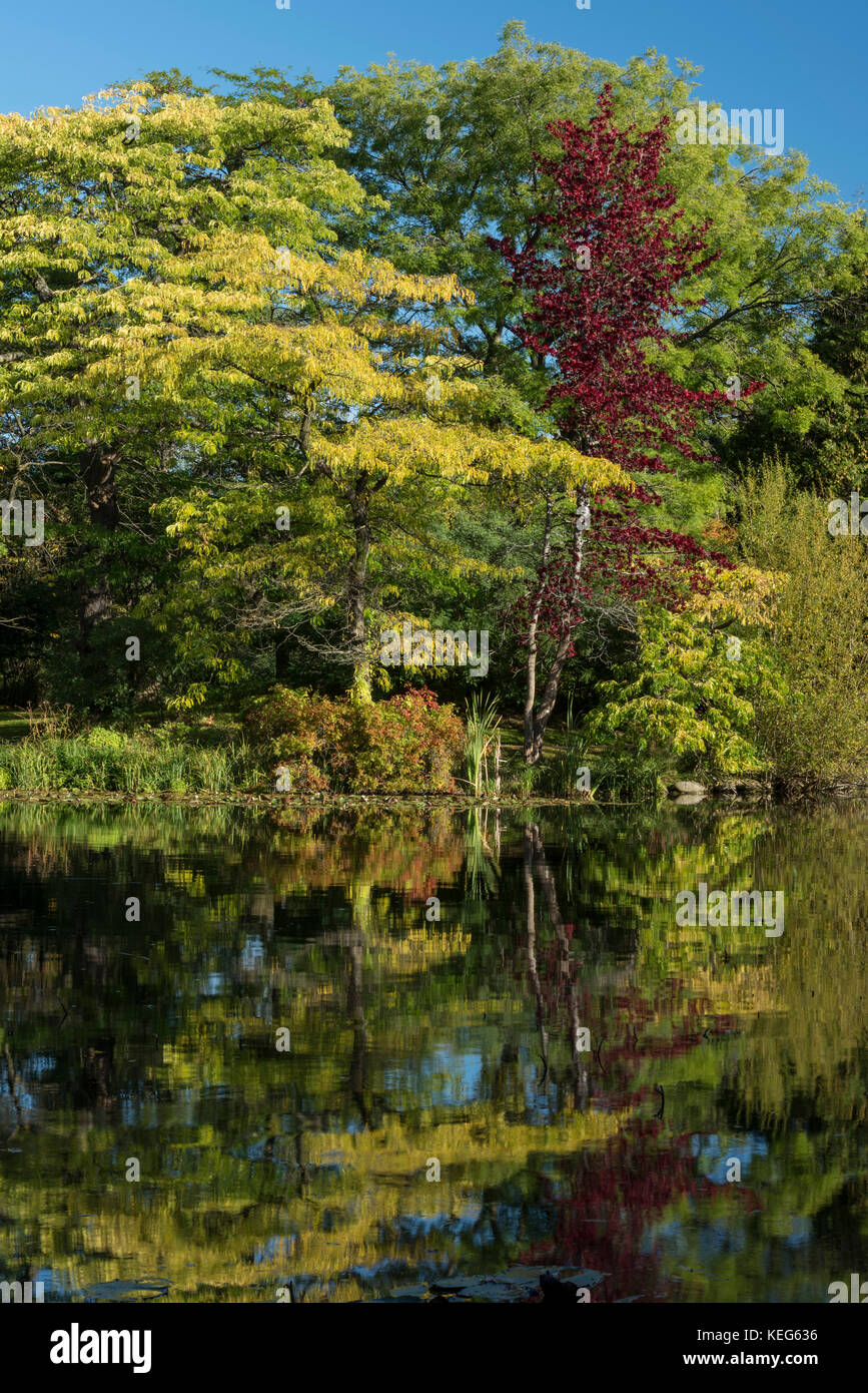 Der See in Botanischen Gärten, Kopenhagen, Dänemark Stockfoto