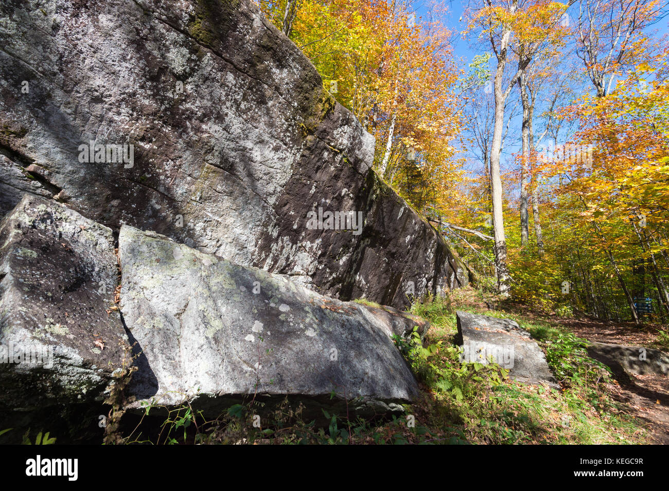 Bäume und Wald im Val David Regional Park im Herbst Farben (Laurentides, Quebec) Stockfoto