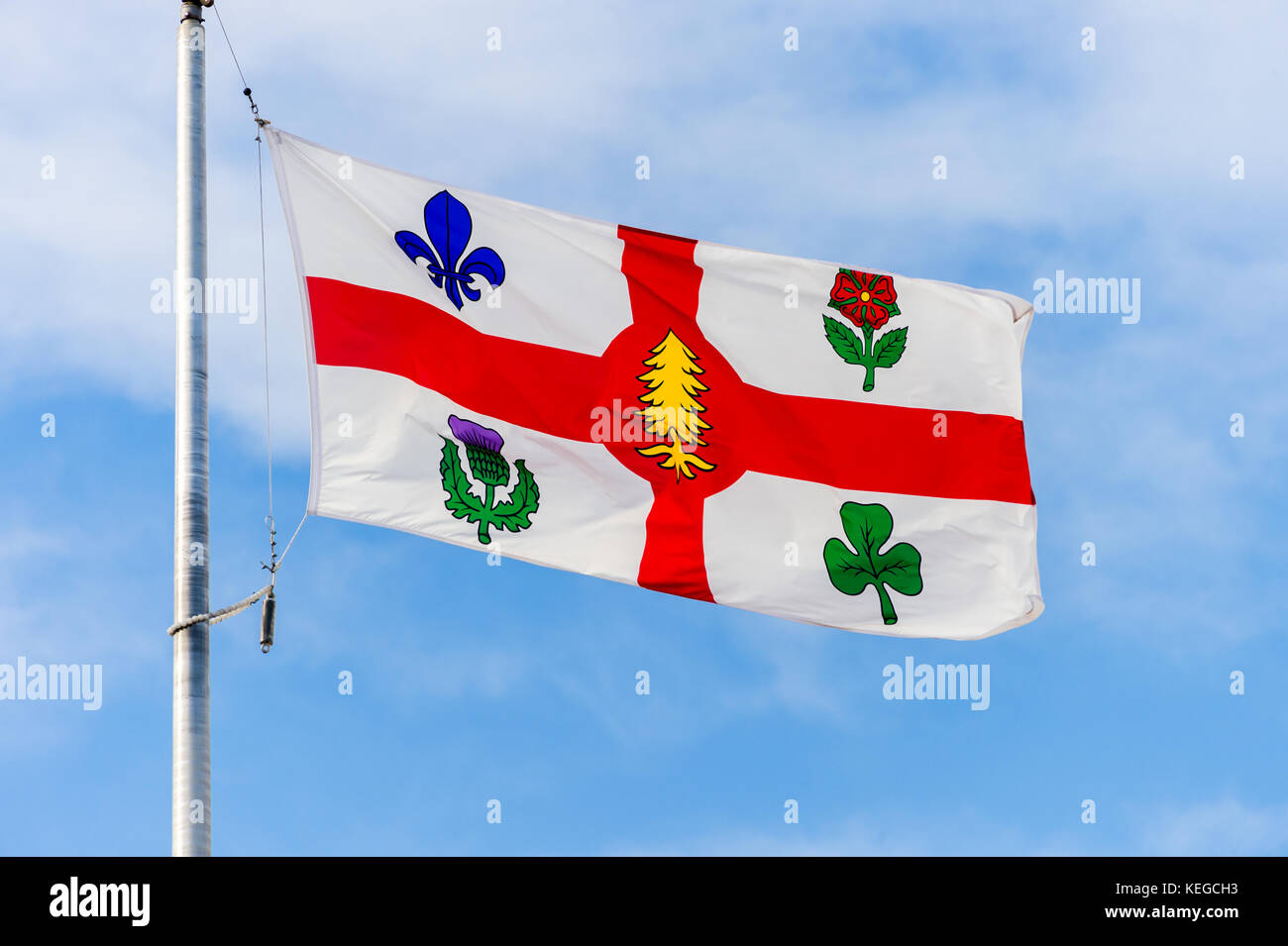 Neue montreal Flag enthält nun ein neues Symbol (white pine) zu repräsentieren erste Nationen auf die Flagge (2017) Stockfoto