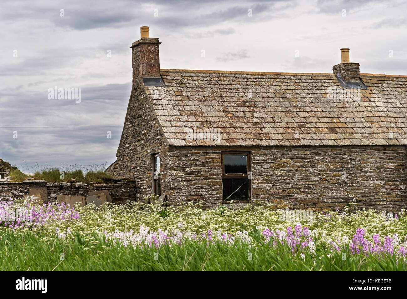 Ländliche Landschaften in caithness Stockfoto