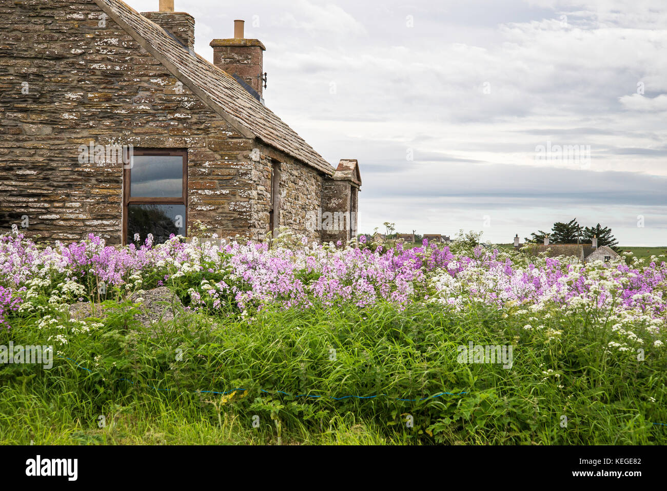 Ländliche Landschaften in caithness Stockfoto