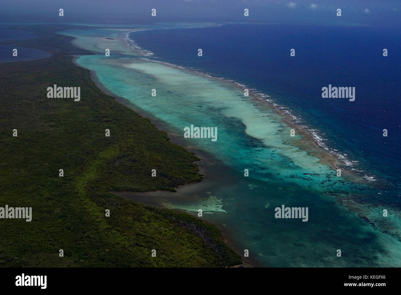 Luftaufnahme von turneffe Atoll (Turneffe Island), Reef und Mangroven, Belize, Mittelamerika (Karibik) Stockfoto
