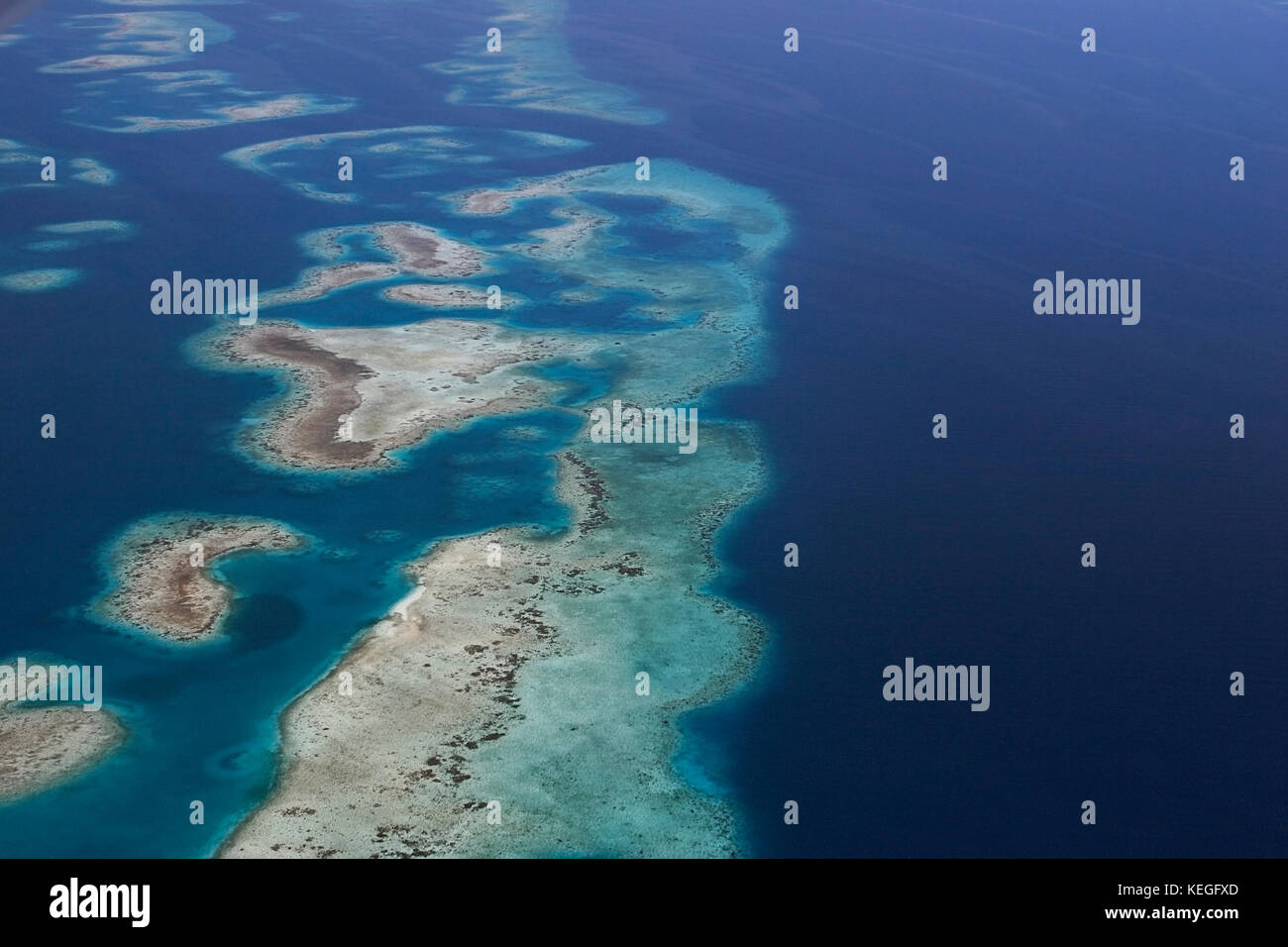 Luftbild von Süden von Belize Barrier Reef in der Nähe von Placencia, Belize, Central America (Karibik) Stockfoto