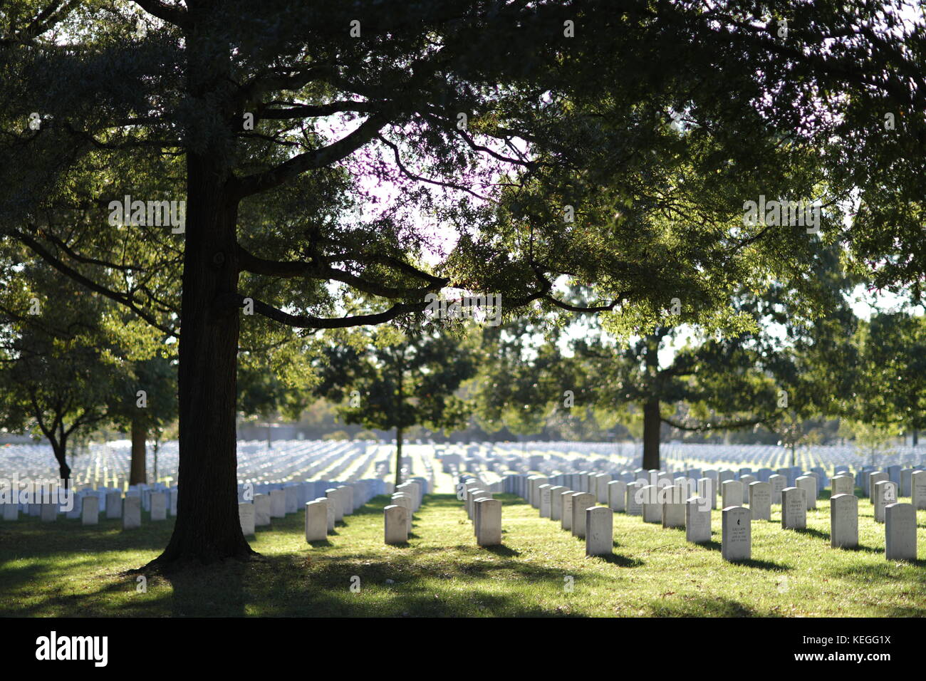 Linien der gefallenen Helden Stockfoto