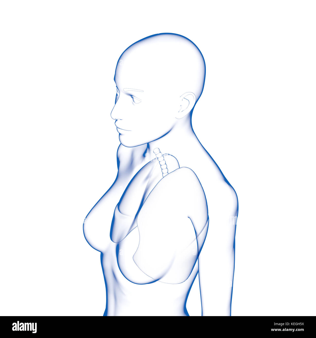 Lunge, menschlichen weiblichen Körper Stockfoto
