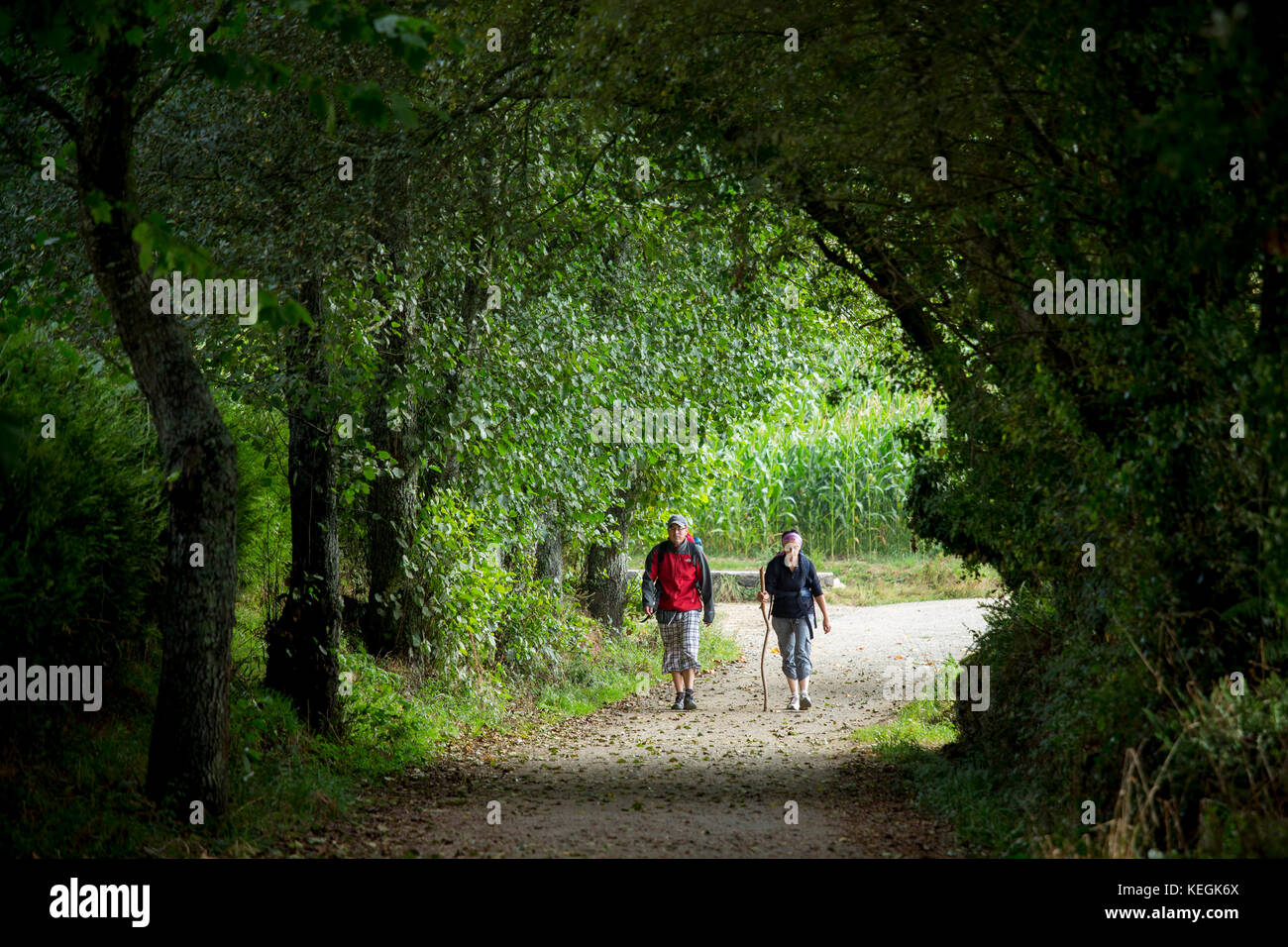 Paar auf dem Weg der Pilgerweg Camino de Santiago Pilgerweg nach Santiago de Compostela in Galizien, Spanien Stockfoto