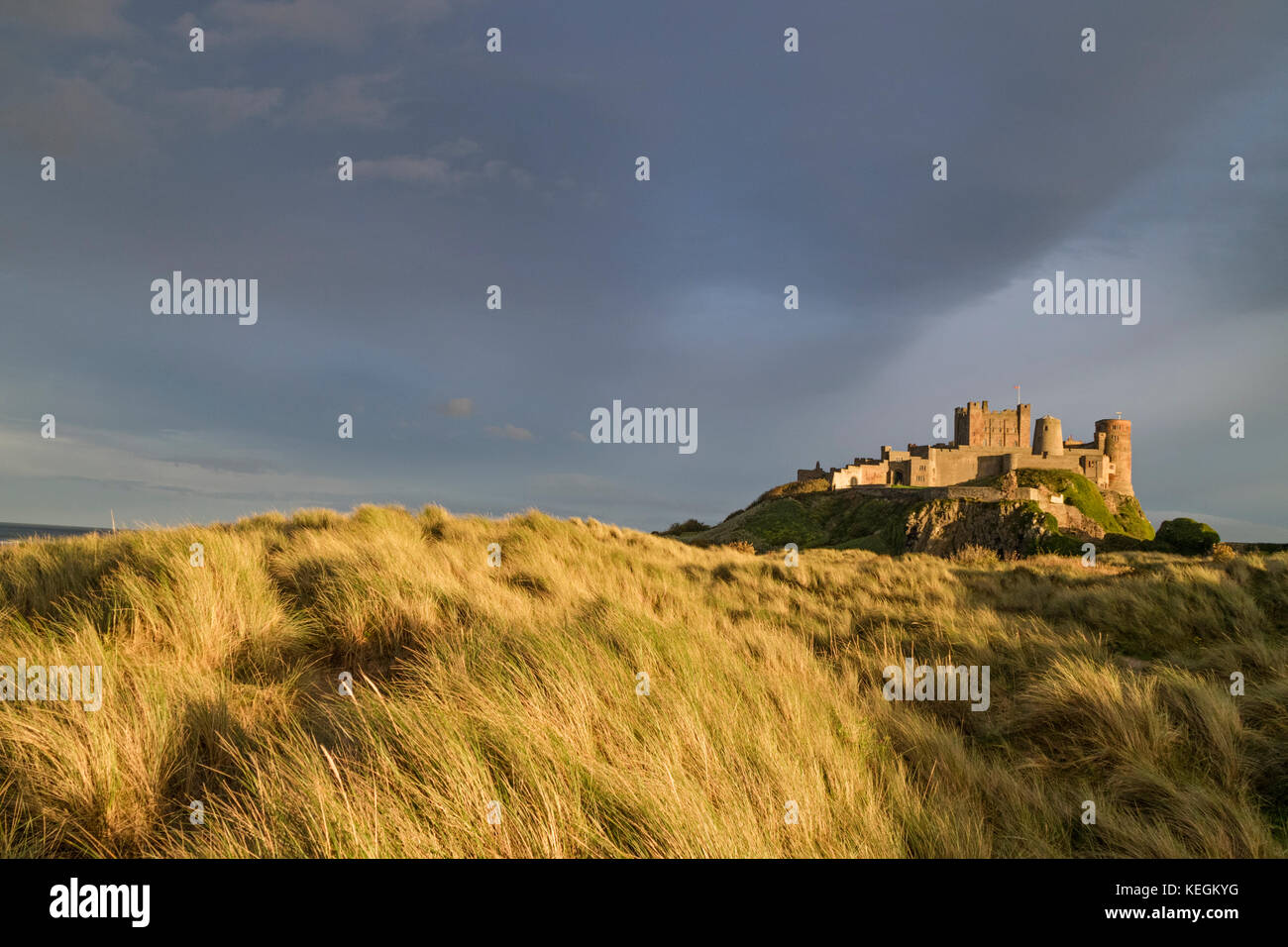 Abendlicht über Bamburgh Castle, Bamburgh, Northumberland, England, UK Stockfoto