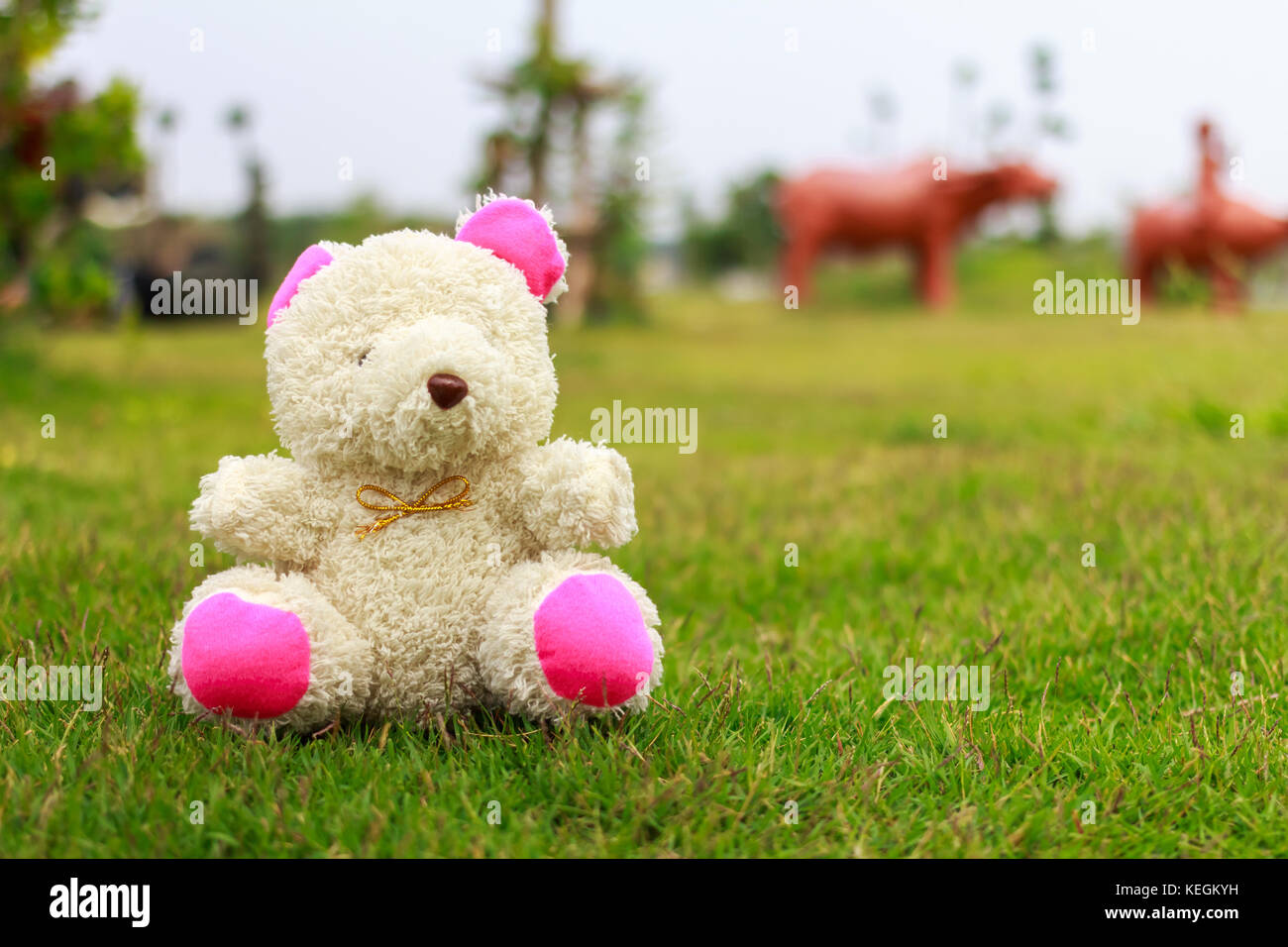 Tragen sitzen auf dem Gras Stockfoto