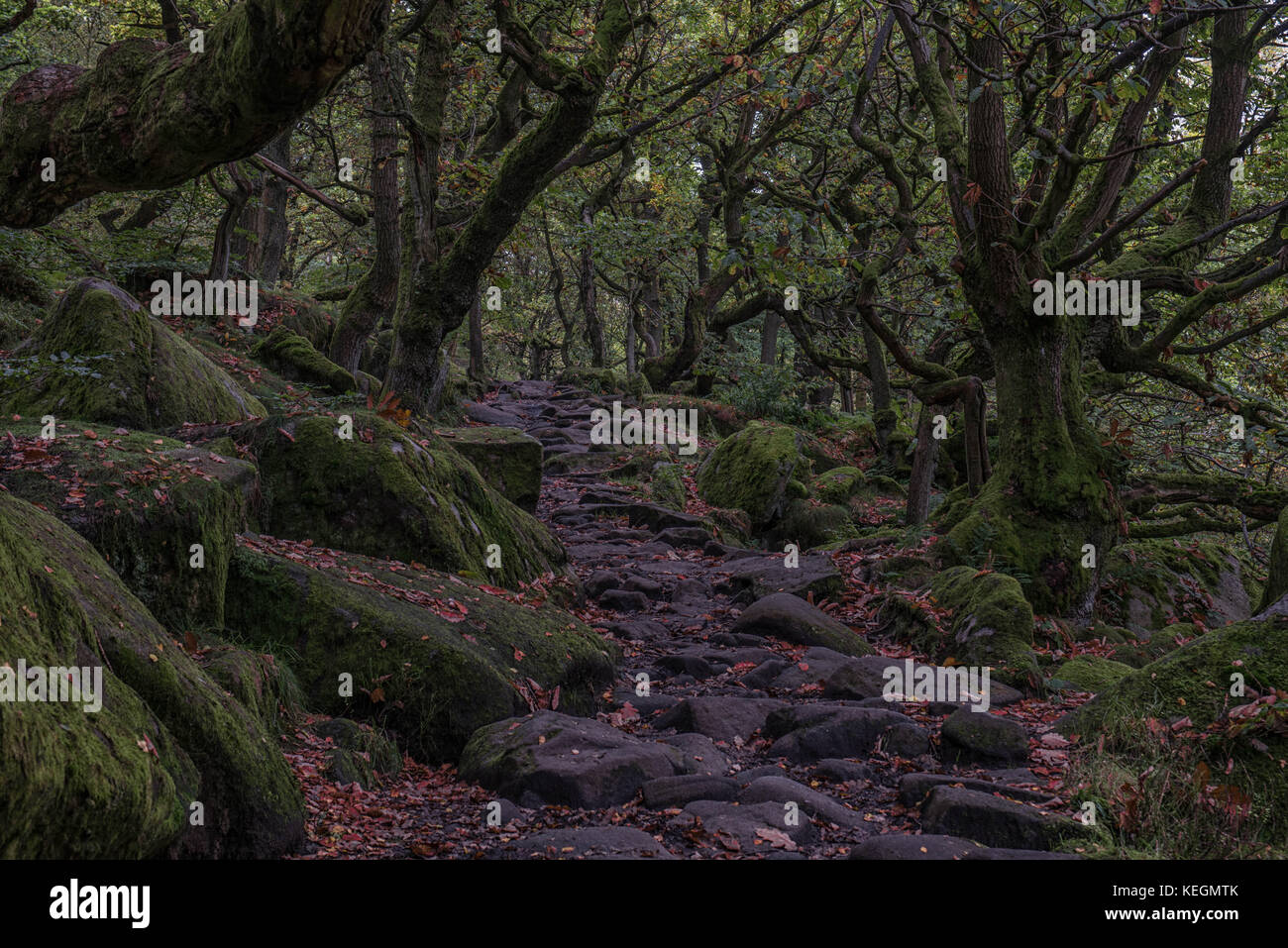 Padley Schlucht Pfad Stockfoto