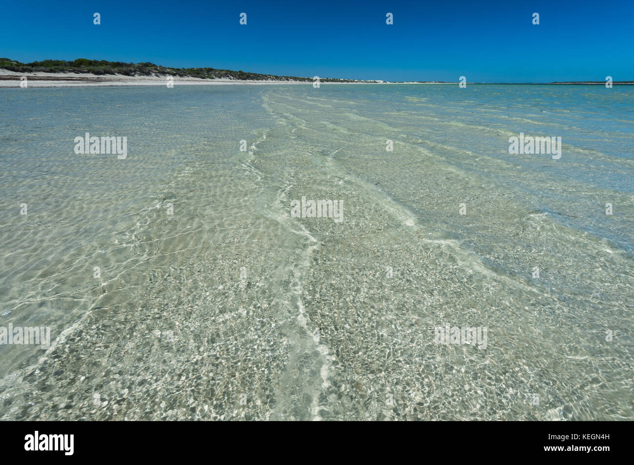 Das kristallklare Wasser an Perlubie Strand an der Küste der Eyre Halbinsel. Stockfoto