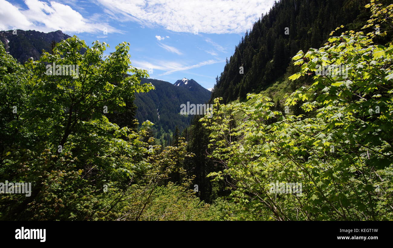 Erkunden Sie Washington State, der großen pazifischen Nordwesten Stockfoto