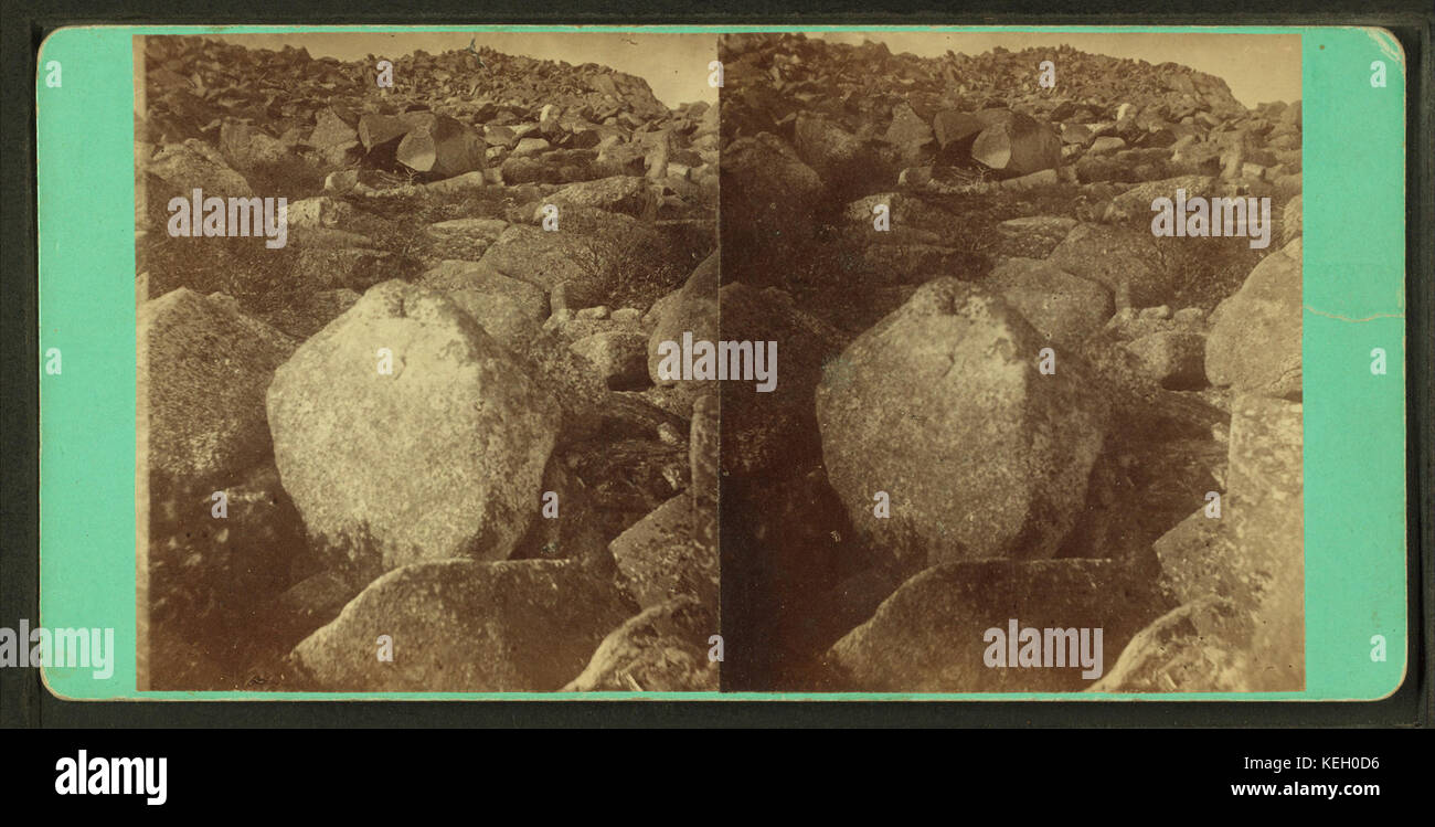 HeadoftheSlide, byHinds, A.L., fl. 1870-1879 Stockfoto