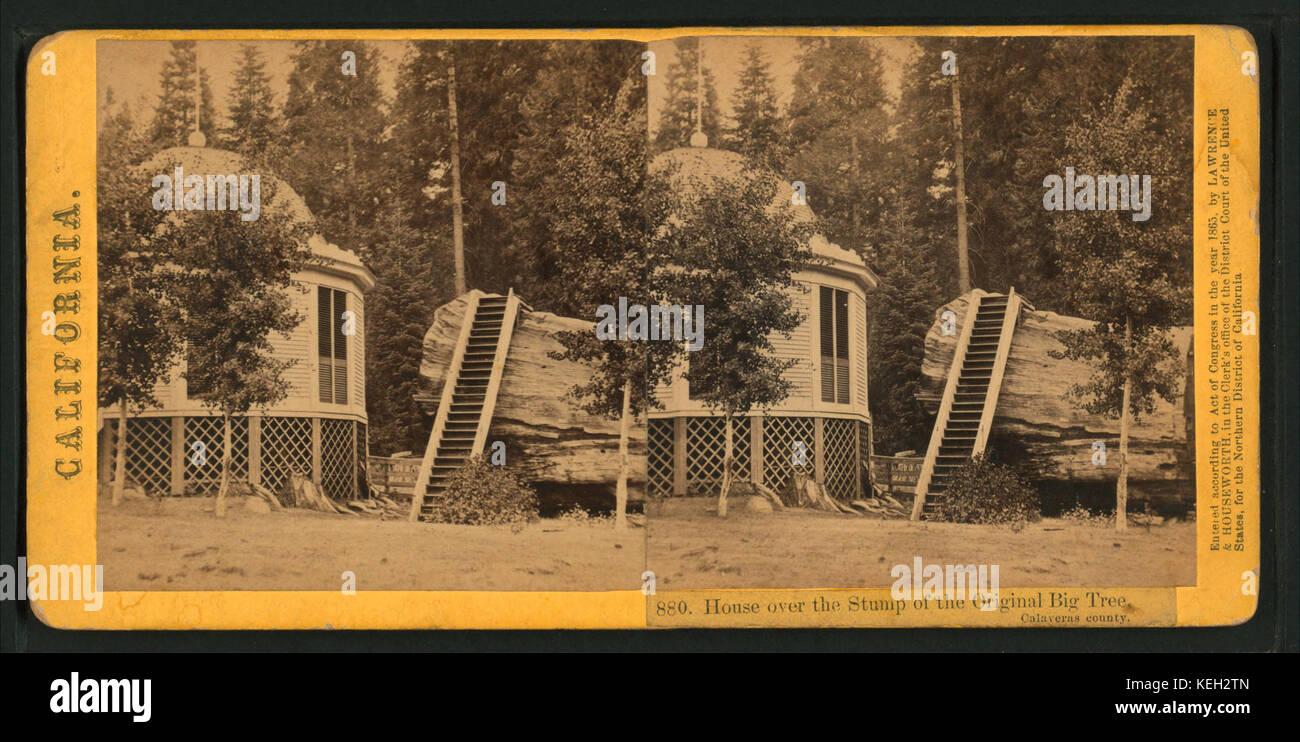 Haus über den Stumpf des ursprünglichen Big Tree, Calaveras County, von Lawrence & Houseworth Stockfoto