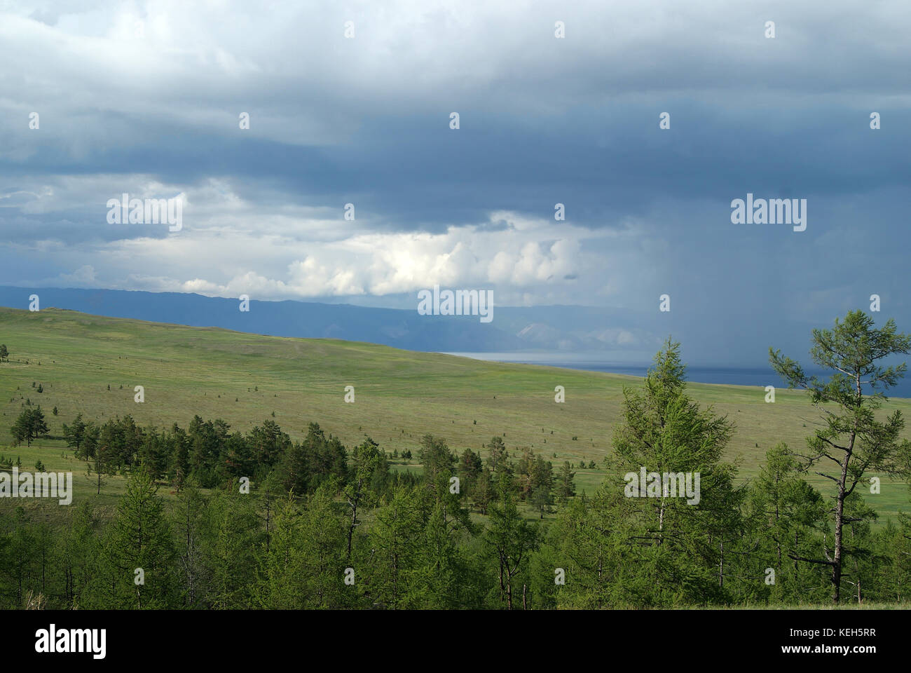 Landschaft der Insel Olchon (am Baikalsee, Russland) bei Regenwetter. Steppe mit seltenen Bäumen. Die Oberfläche der See und der Küste des Main Stockfoto