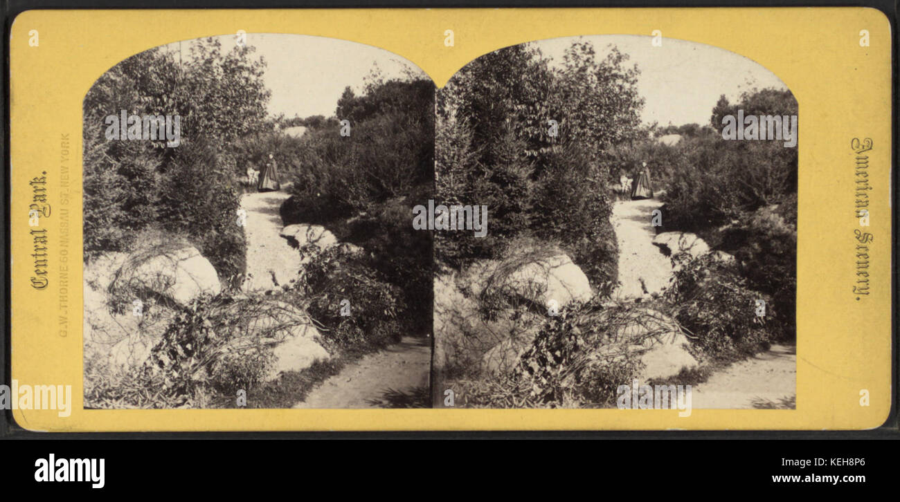 Vom rustikalen Torbogen aus Robert N. Dennis Sammlung von stereoskopischen Ansichten Stockfoto