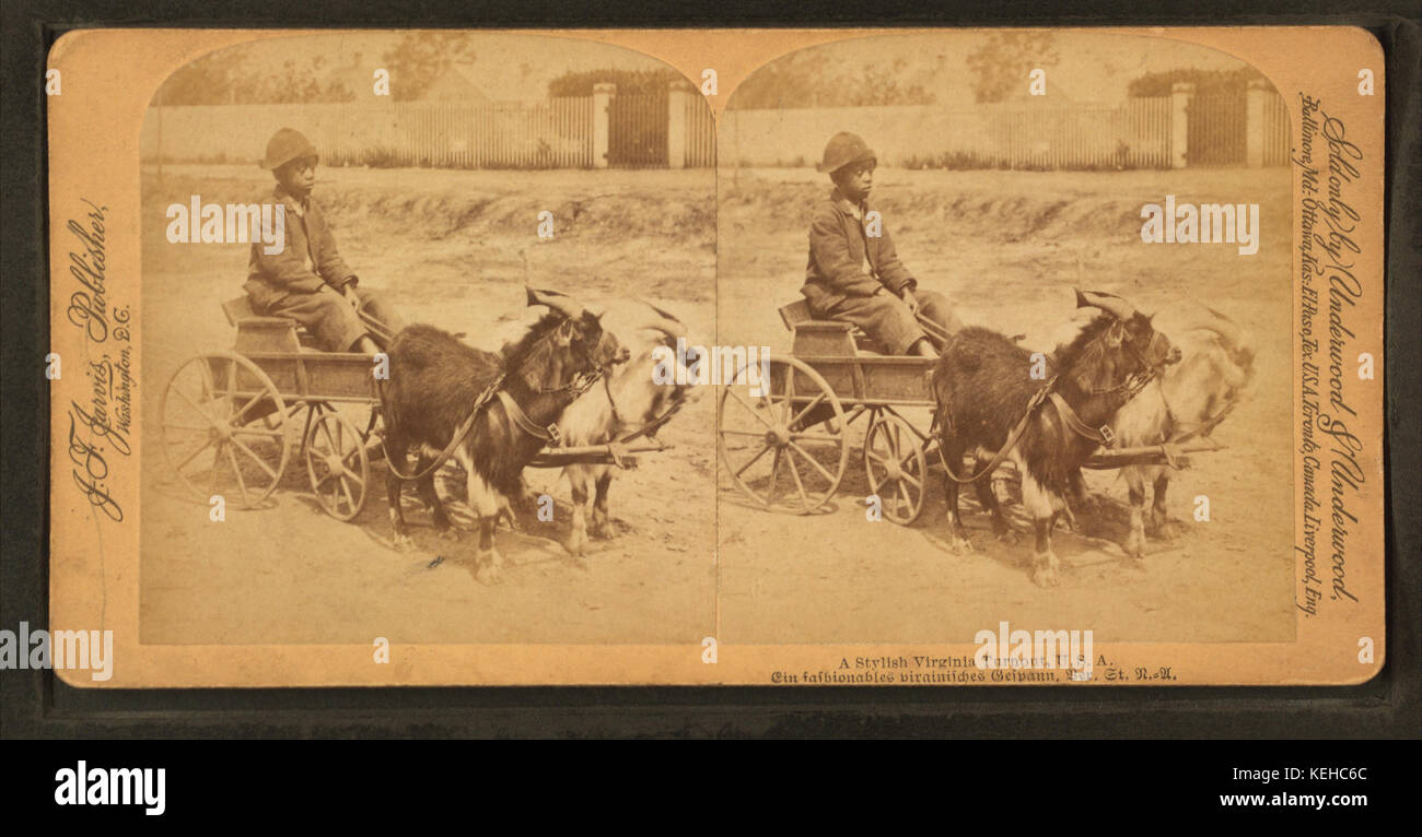 Eine stilvolle Virginia Wahlbeteiligung, U.S.A. (zeigt African American Boy in Ziege Warenkorb), von Jarvis, J. F. (John F.), b. 1850 Stockfoto