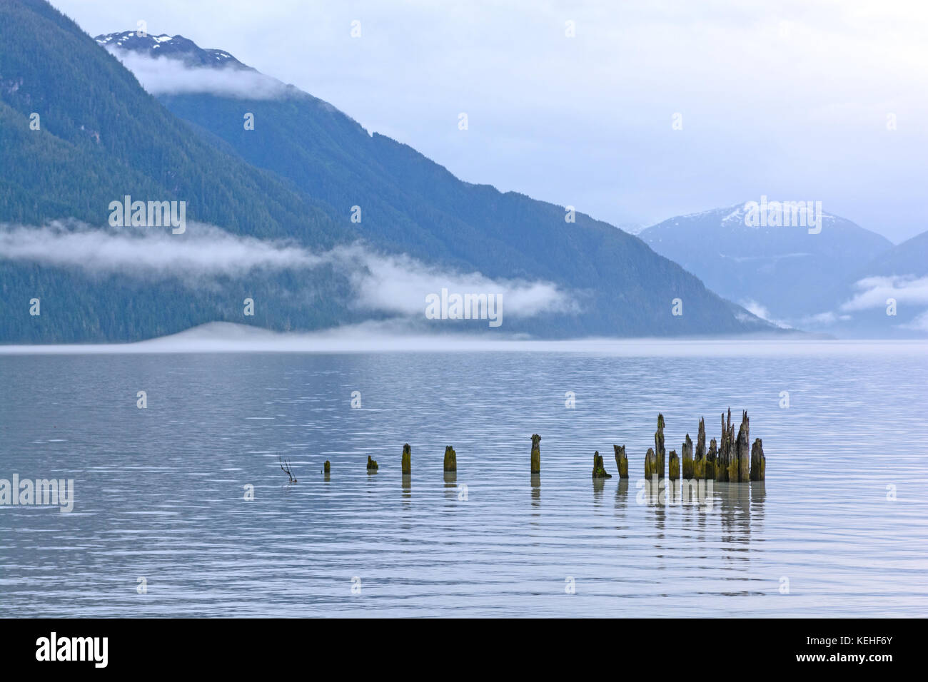 Ruhige Gewässer an einem nebligen Küste in der Nähe von Hyder, Alaska Stockfoto