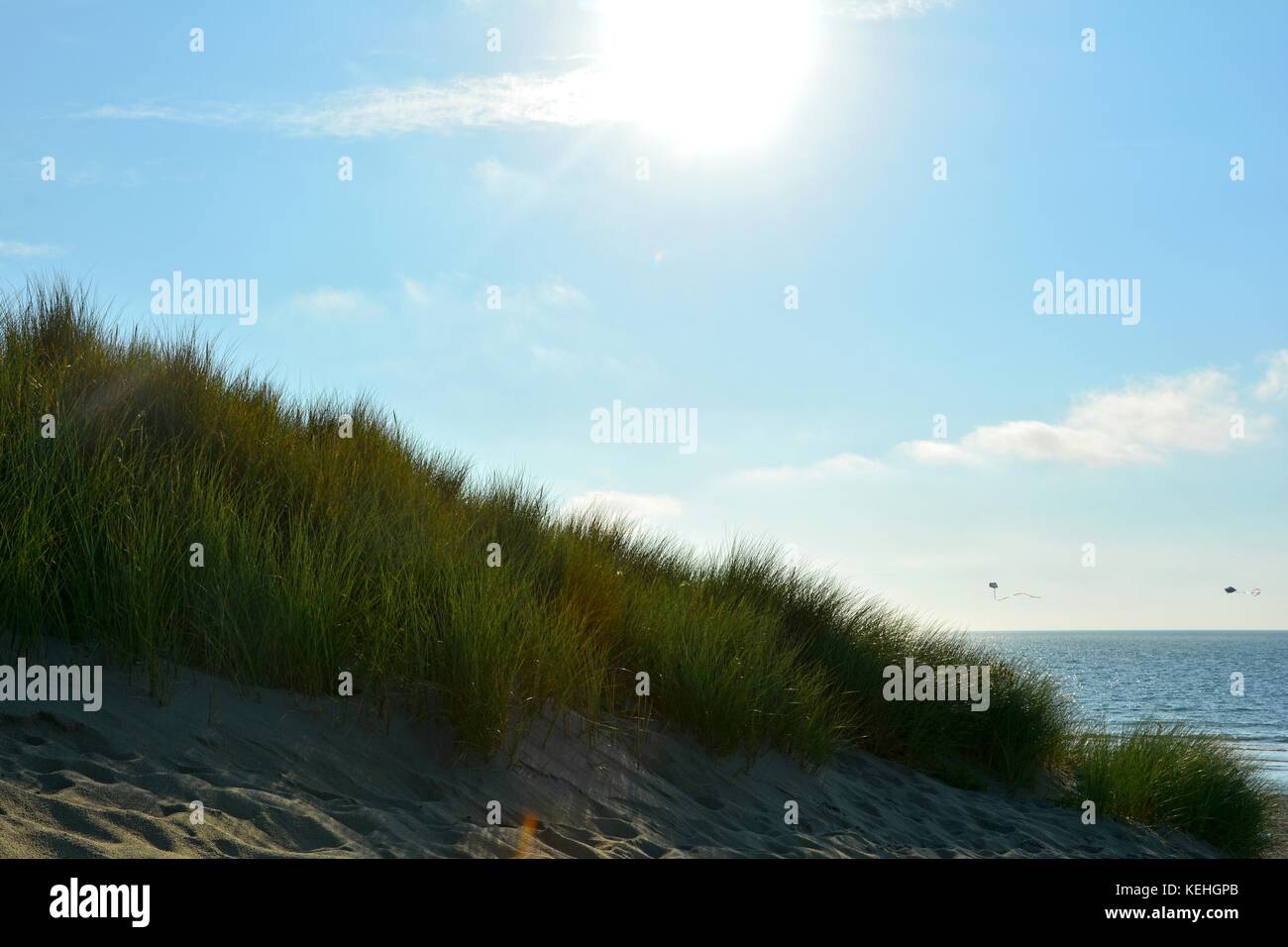 Sanddünen mit Strand Gras an der Nordsee mit Sonne am Abend Stockfoto