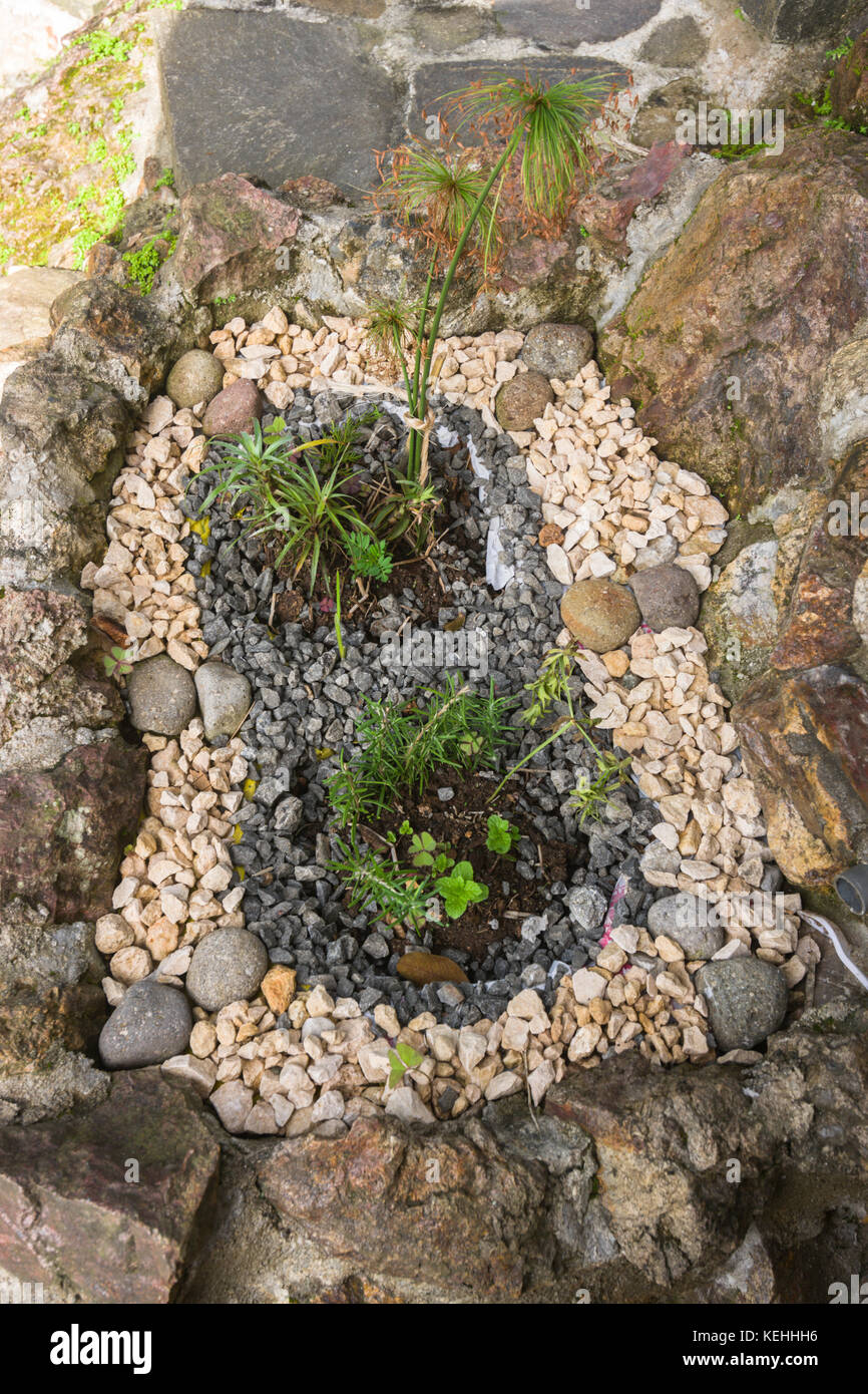 Garten Ideen Garten kreativ kleinen Stein Garten Stockfoto