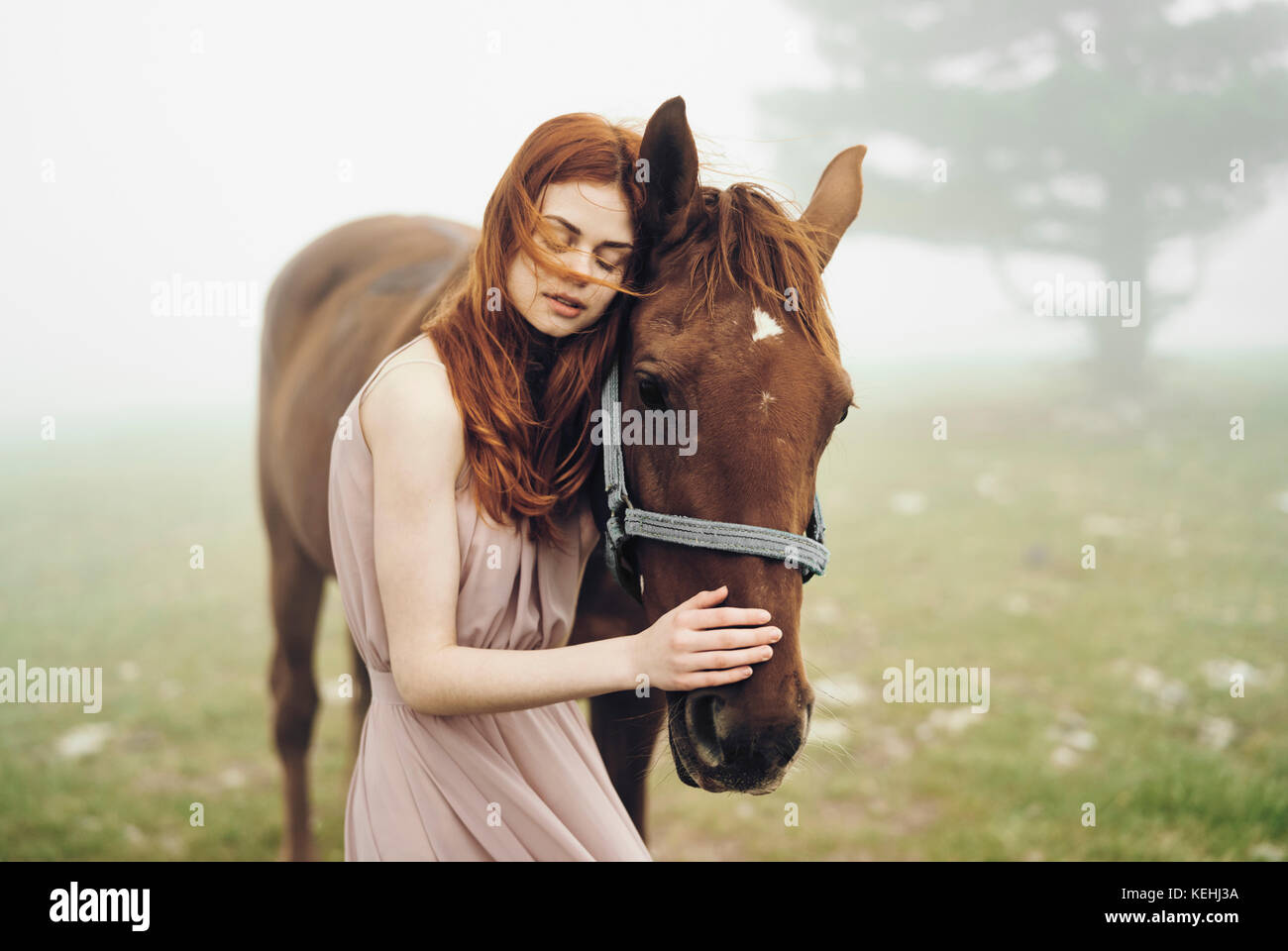 Kaukasische Frau Petting Pferd Stockfoto