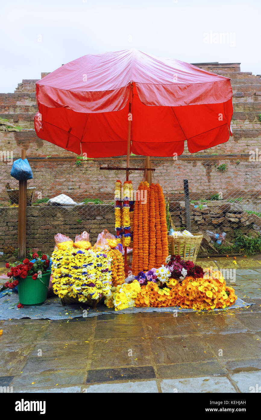 Verlassenen stall einer Blume Anbieter, Kathmandu, Nepal. Stockfoto