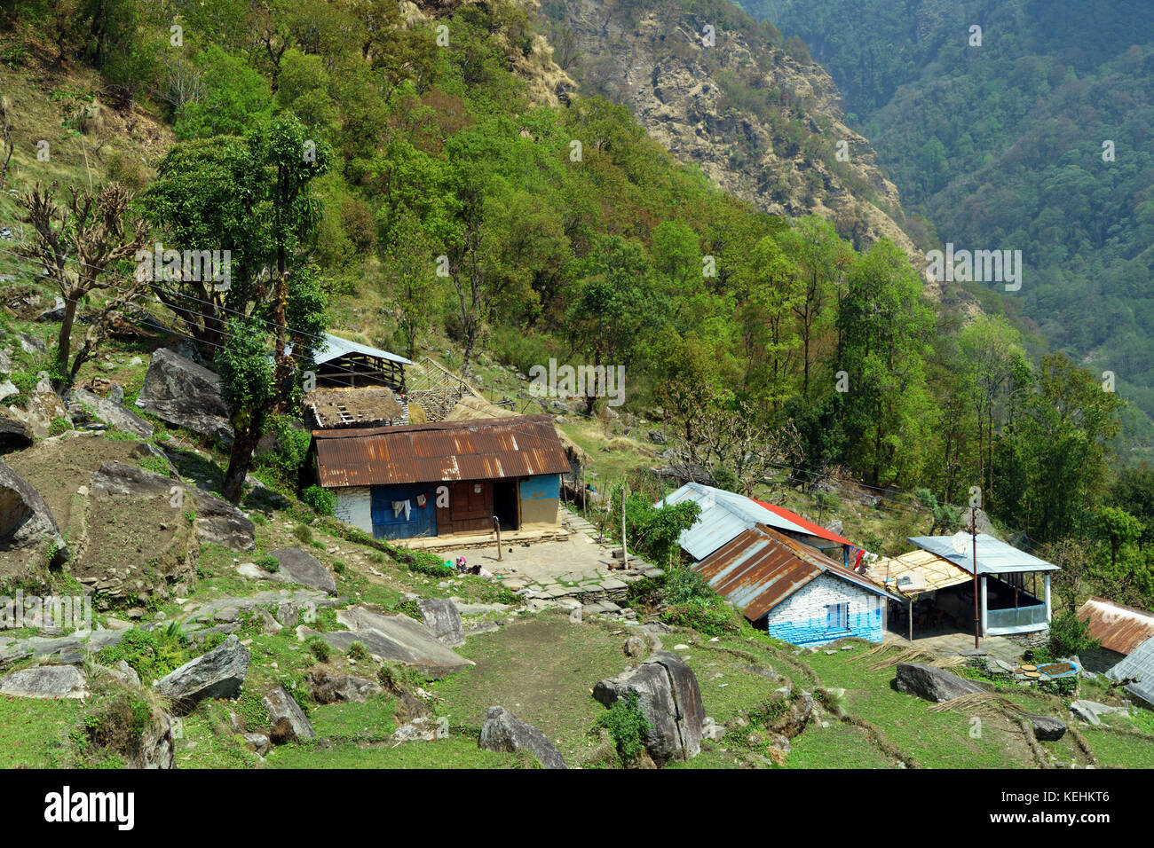 Hanglage Häuser in der Nähe von Ghandruk, Annapurna region, Nepal. Stockfoto