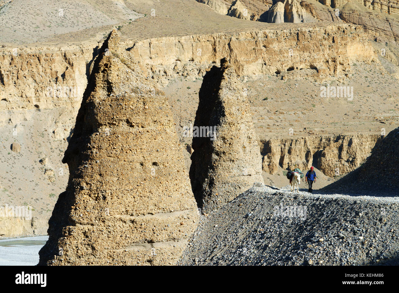 Nepalesischen Mann sein Pferd entlang der Kali Gandaki Tal in der Nähe von Kagbeni, Upper Mustang, Nepal. Stockfoto