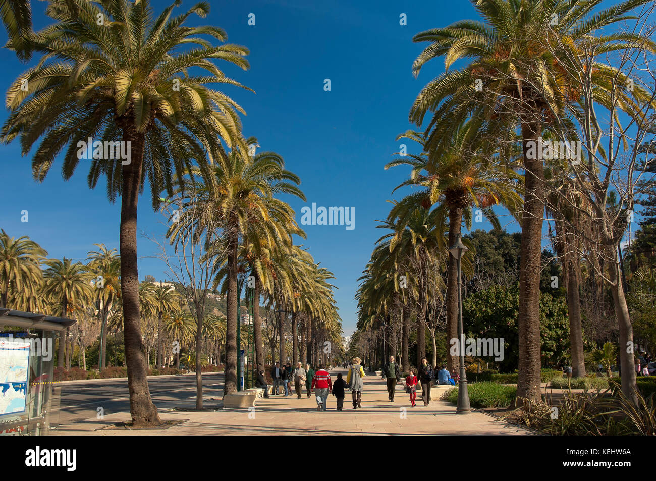 Alameda Park, Malaga, Andalusien, Spanien, Europa Stockfoto