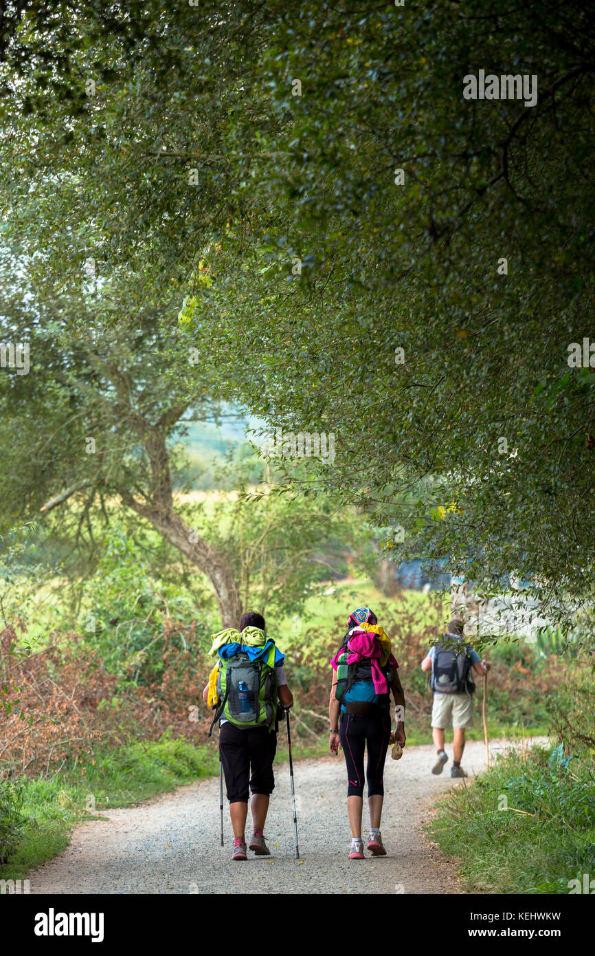 Camino De Santiago Stockfotos und bilder Kaufen Alamy
