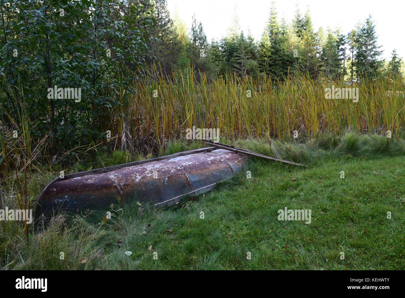 Rostiges Metall Kanu und Paddel auf Gras umgeworfen Stockfoto