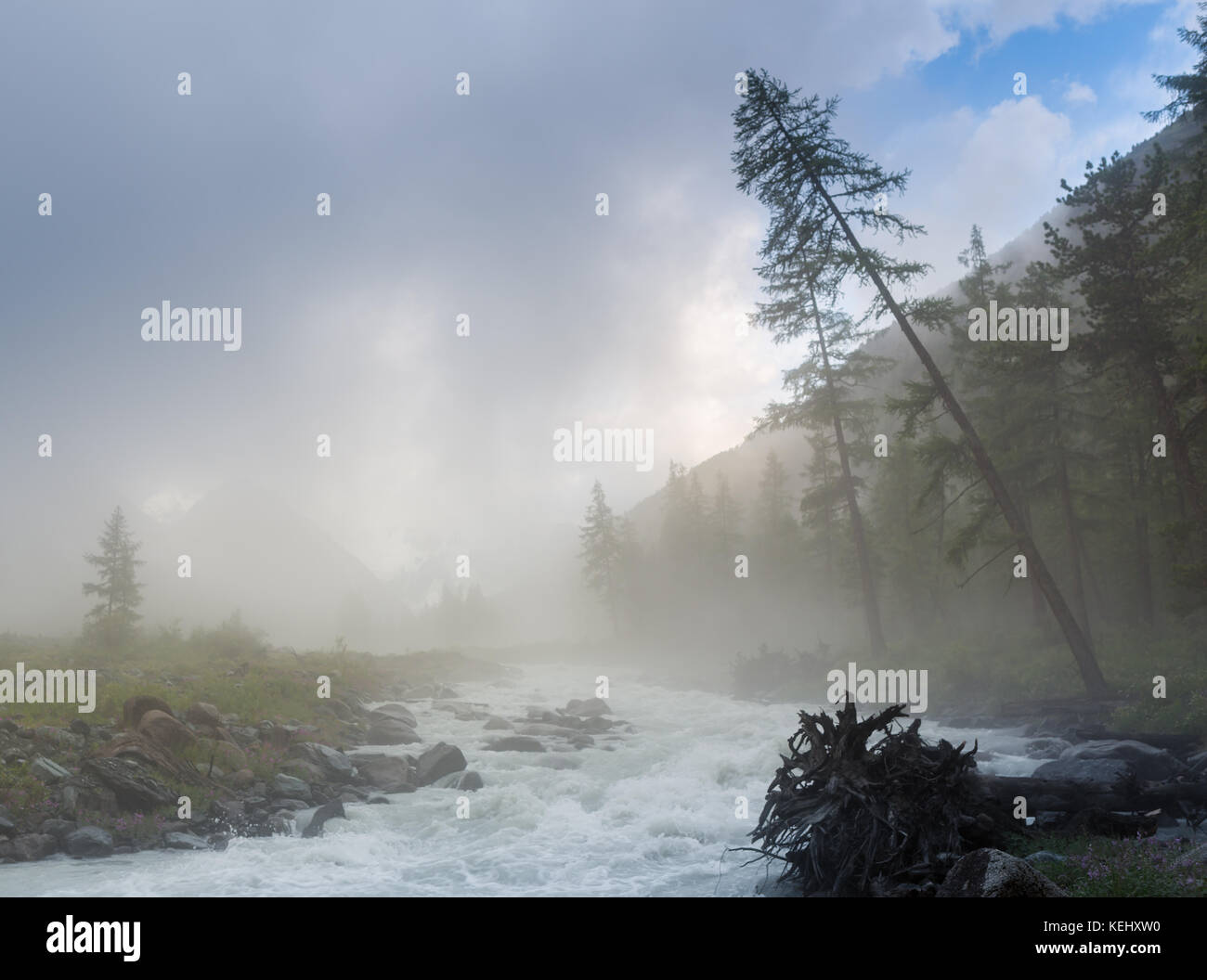 Der Fluss auf dem Hintergrund der Berge und Wälder im Nebel akkem Fluss, liegt am Fuße des belukha Berg, Altai Gebirge, Russland. Stockfoto