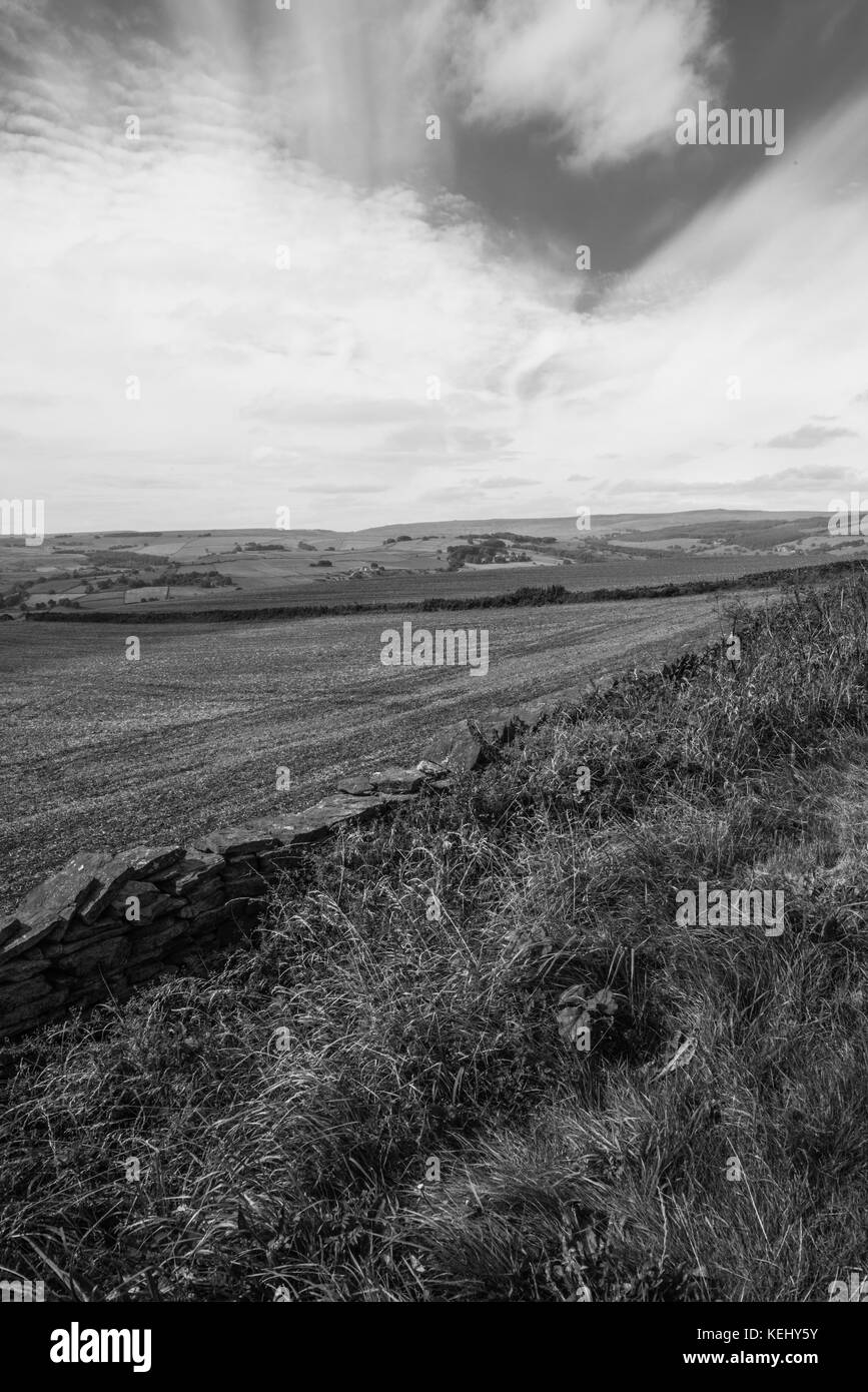 Yorkshire in Mono Sheffield ray Boswell Stockfoto