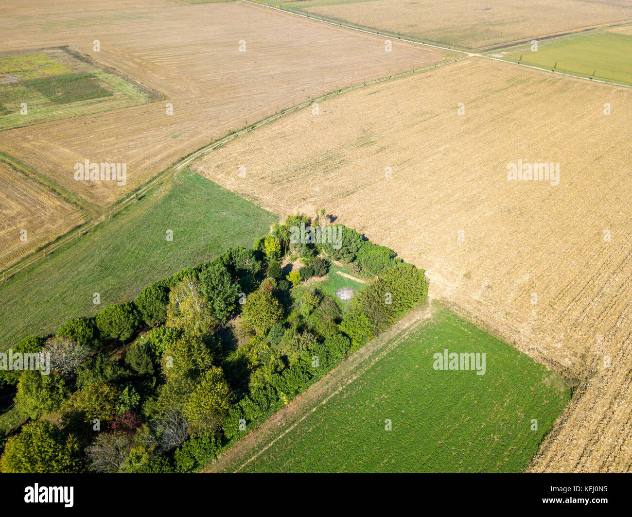 Natur und Landschaft: Luftaufnahme eines Feldes, Anbau, gepflügten Feldes, auf dem Land, Landwirtschaft Stockfoto