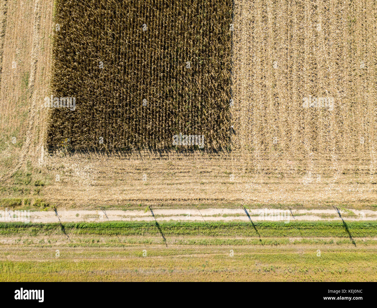 Natur und Landschaft: Luftaufnahme eines Feldes, Anbau, gepflügten Feldes, auf dem Land, Landwirtschaft Stockfoto