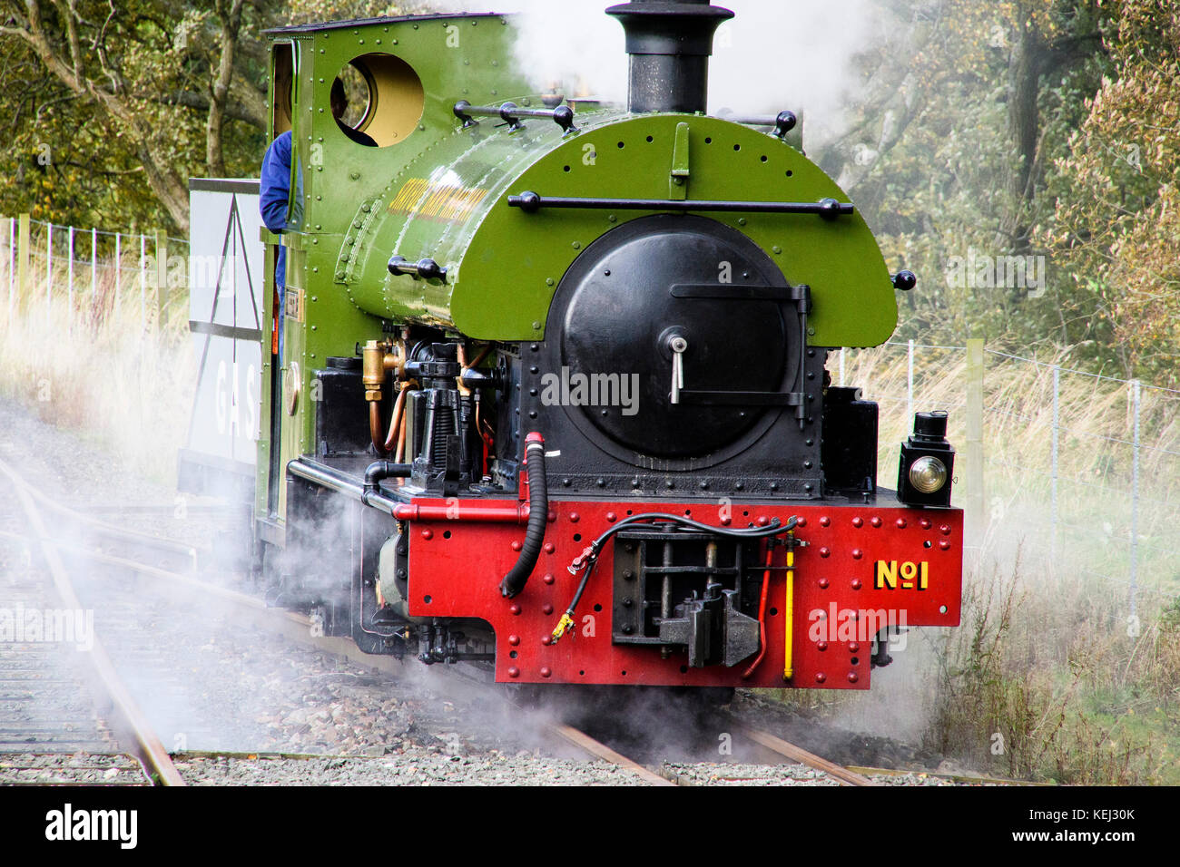 Stock Foto - South Tynedale Railway ist eine erhaltene, 610mm (2 ft) Schmalspurbahnen Museumsbahn im Norden von England und ist Englands höchste Schmalspurbahn. © hugh Peterswald/alamy Stockfoto