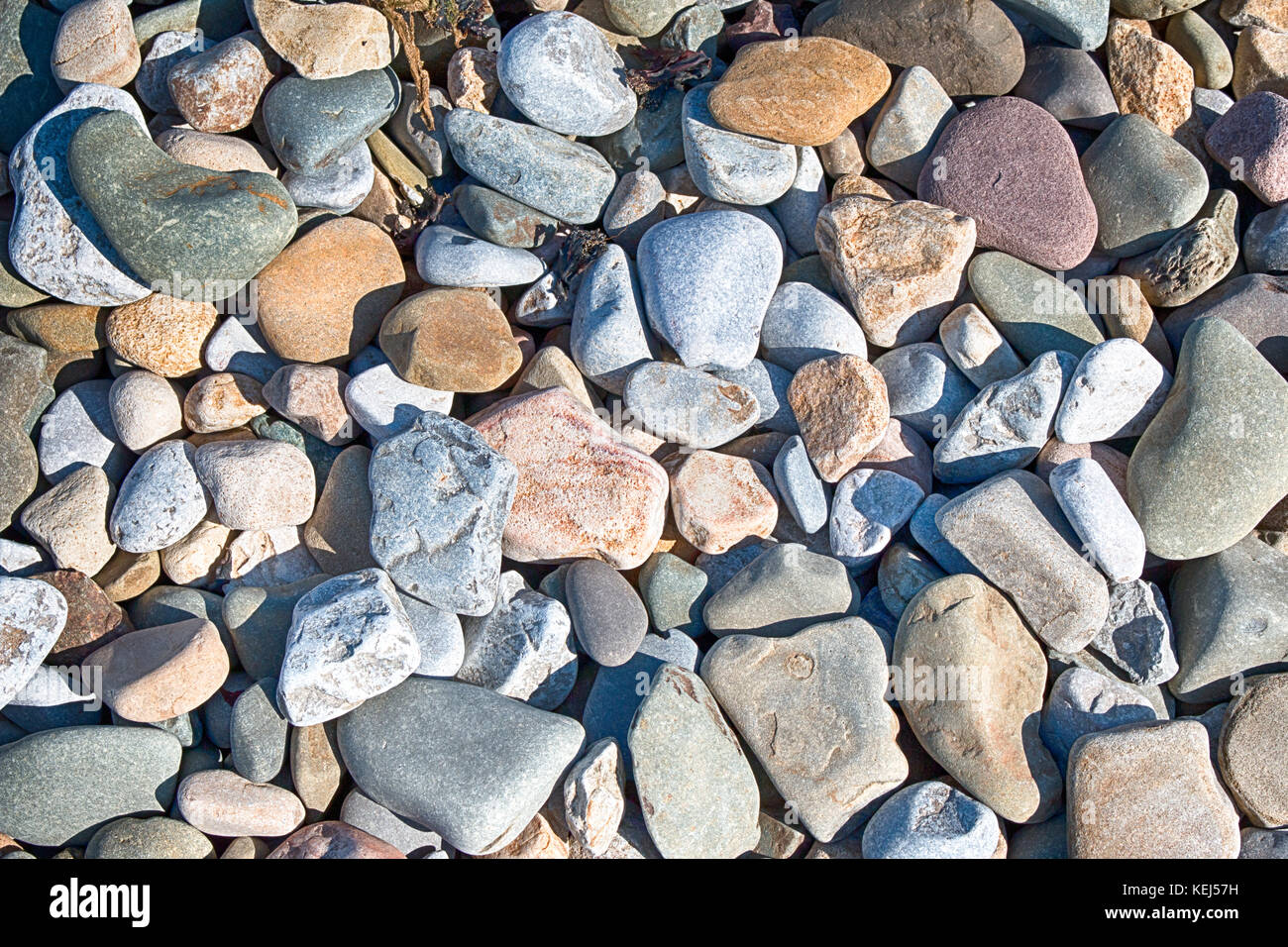 Kieselsteine am Strand. Stockfoto