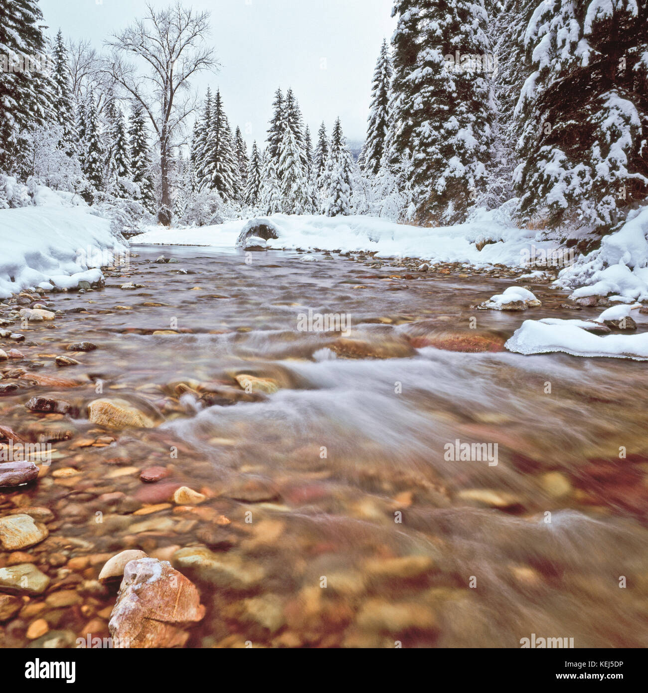 Winterschnee am lost Creek im Swan Valley in der Nähe von Schwanensee, montana Stockfoto