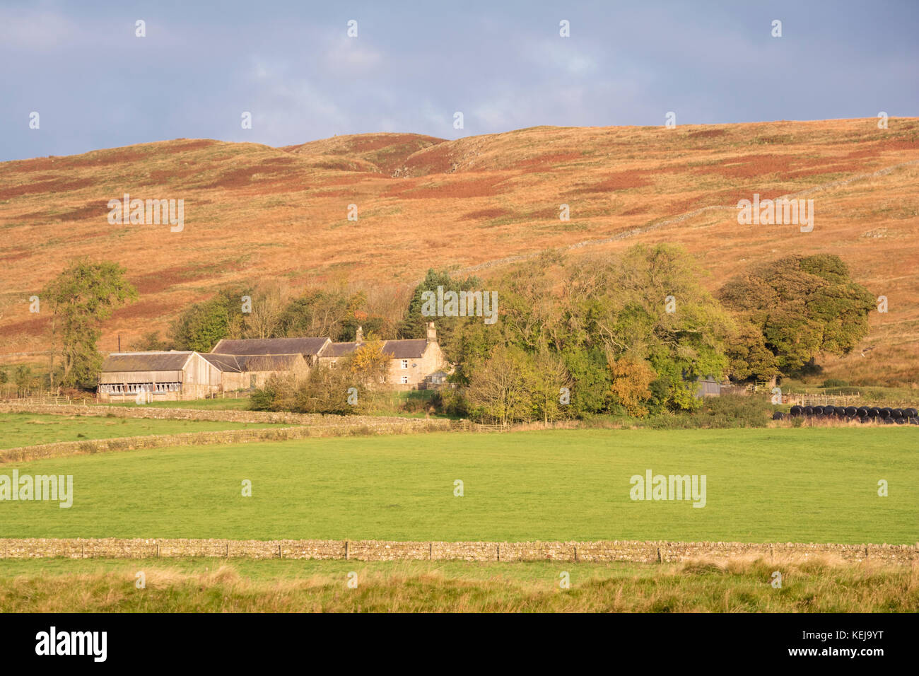 Ein remote Farmstead unter Hadrian's Wall in der Nähe zweimal gebraut, Northumberland, England, Großbritannien Stockfoto