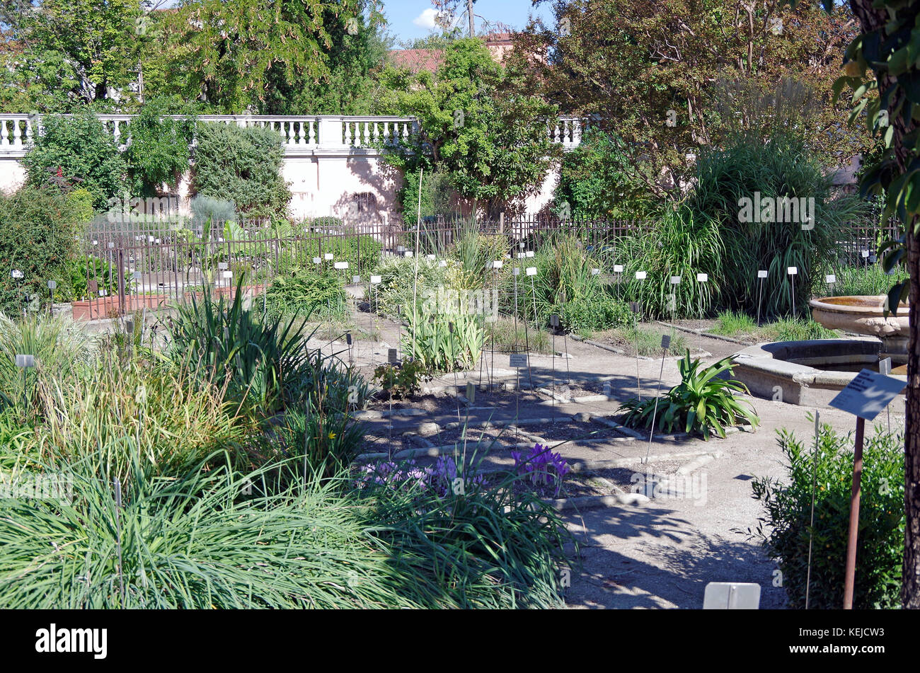 Orto Botanico Di Padova Padua Botanischen Garten Der Weltweit