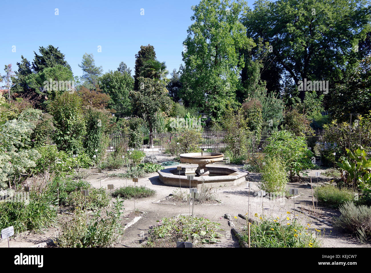 Orto Botanico di Padova, Padua botanischen Garten, der weltweit älteste