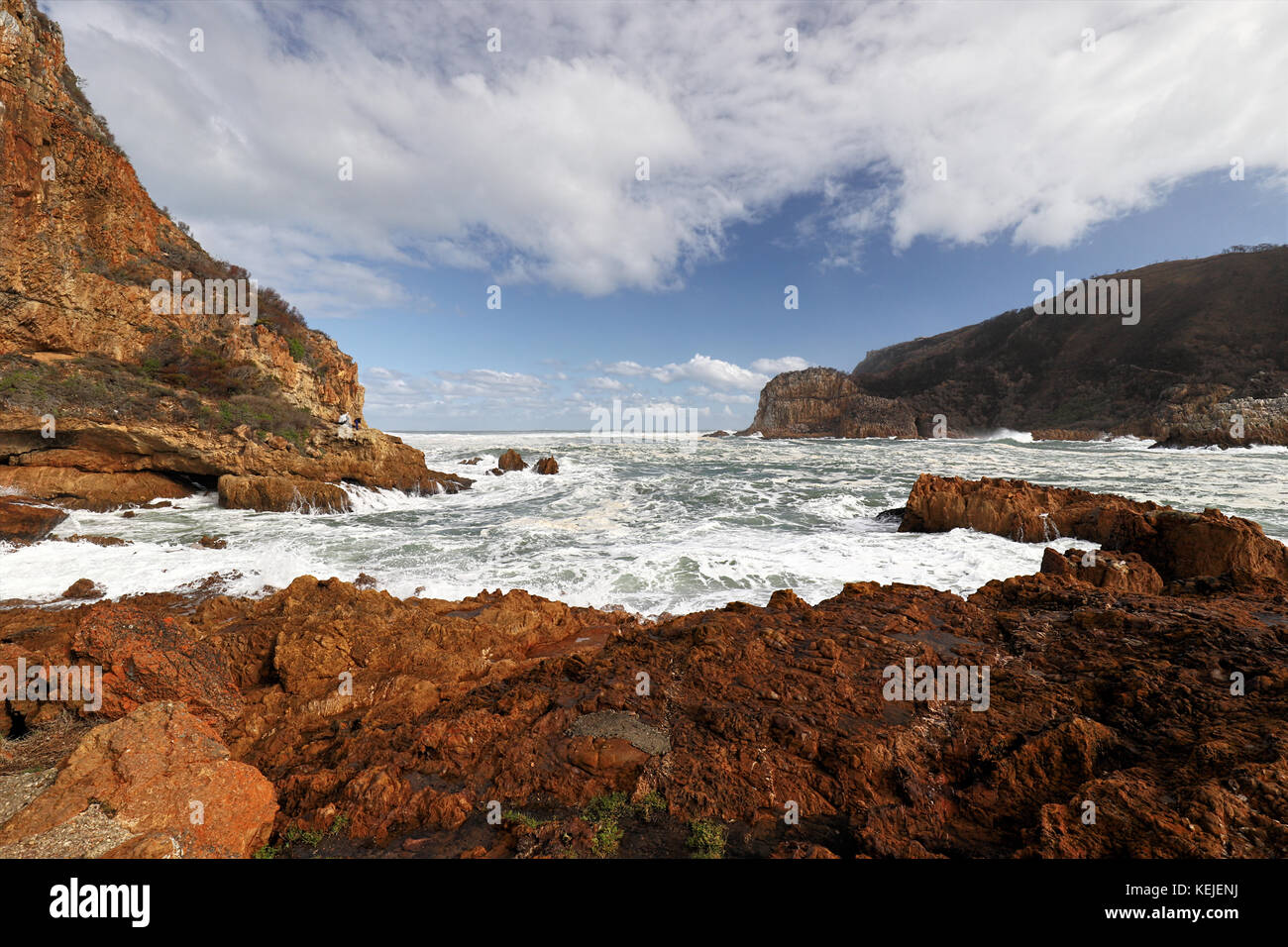 Felsigen Küste in der Nähe der Knysna Heads, Südafrika Stockfoto