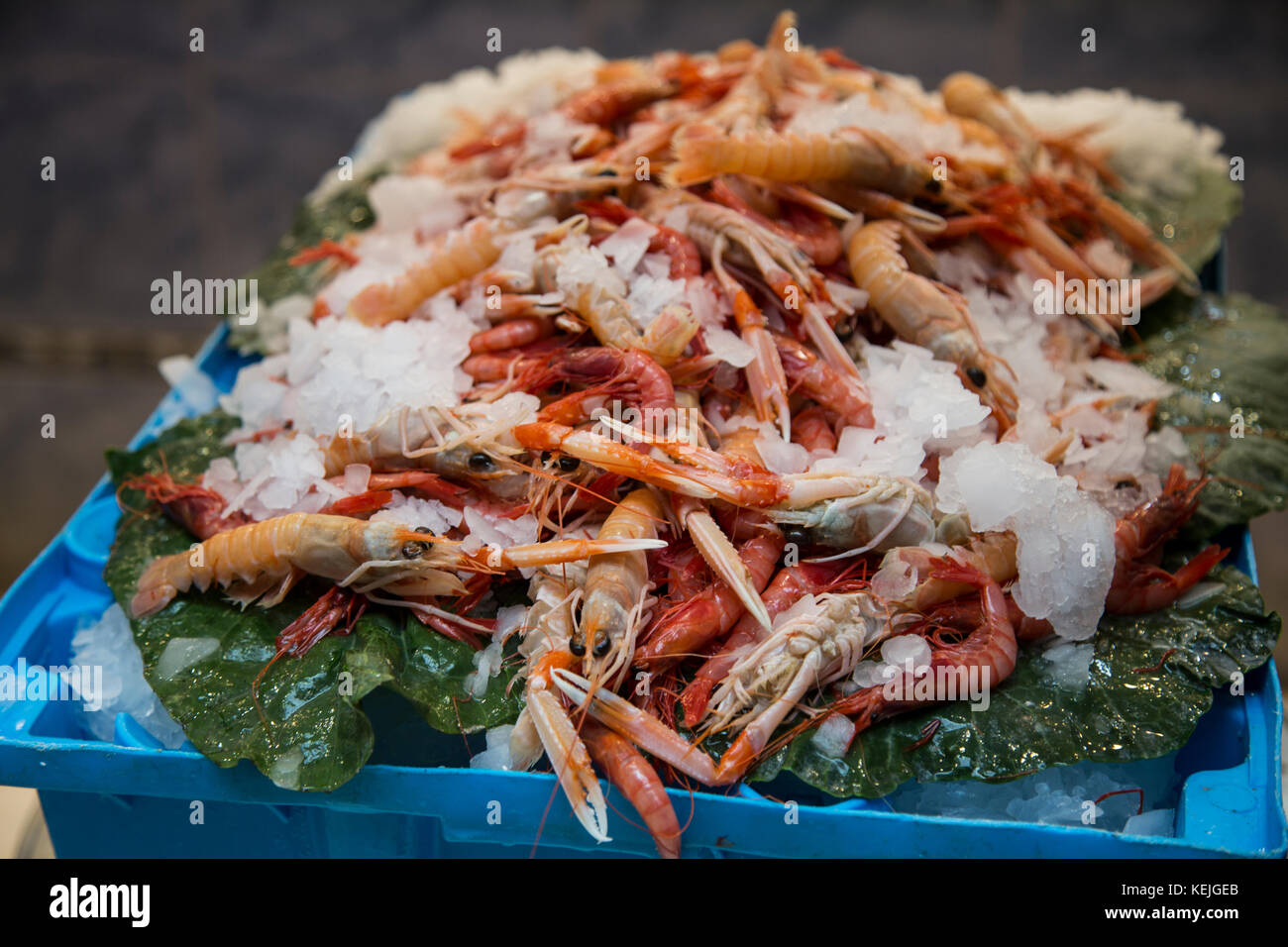 Frische Garnelen Anzeige auf Eis Stockfoto