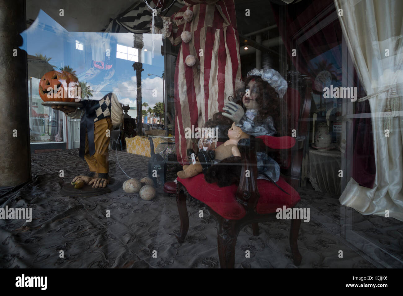 Halloween Display in einem Thrift Shop in der Innenstadt von Harlingen, Tx Stockfoto